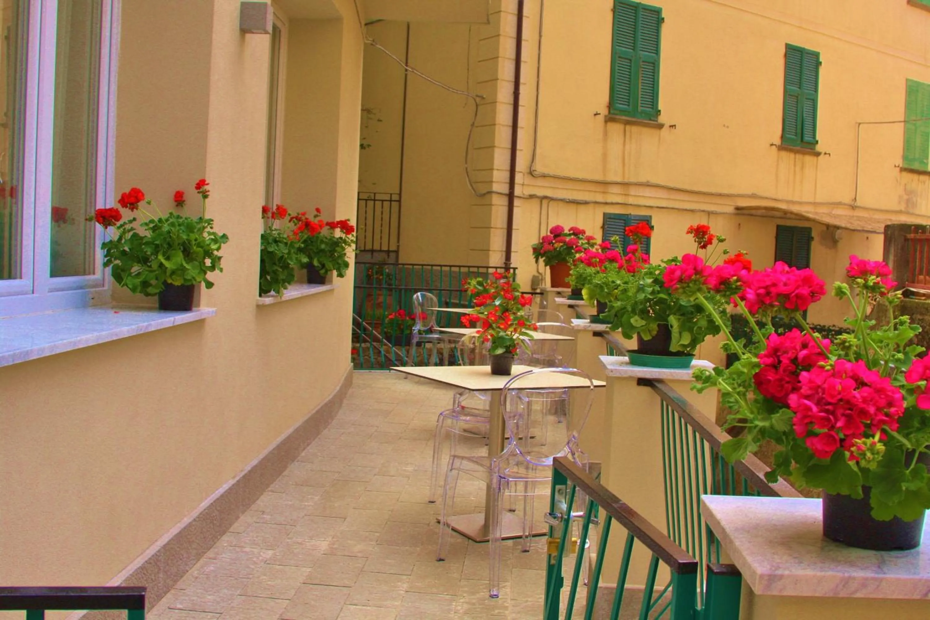 Garden in Hotel Souvenir