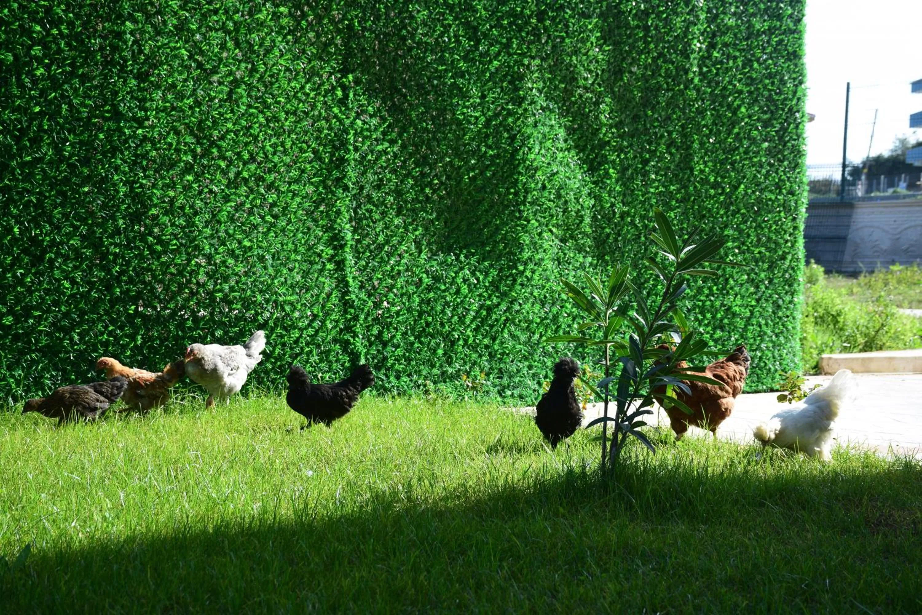 Garden view in KUZEY OTEL
