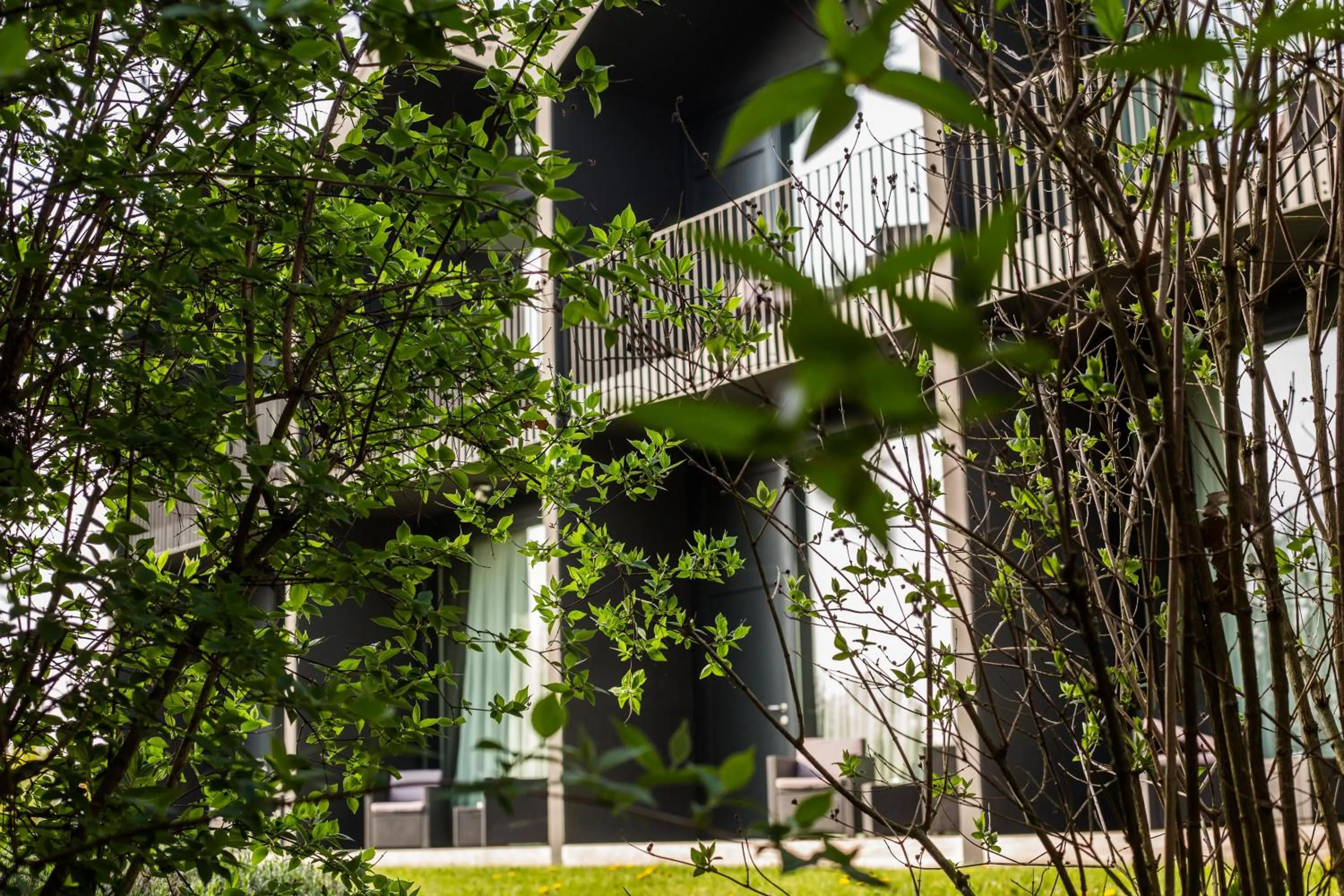 Garden in La Source Des Sens