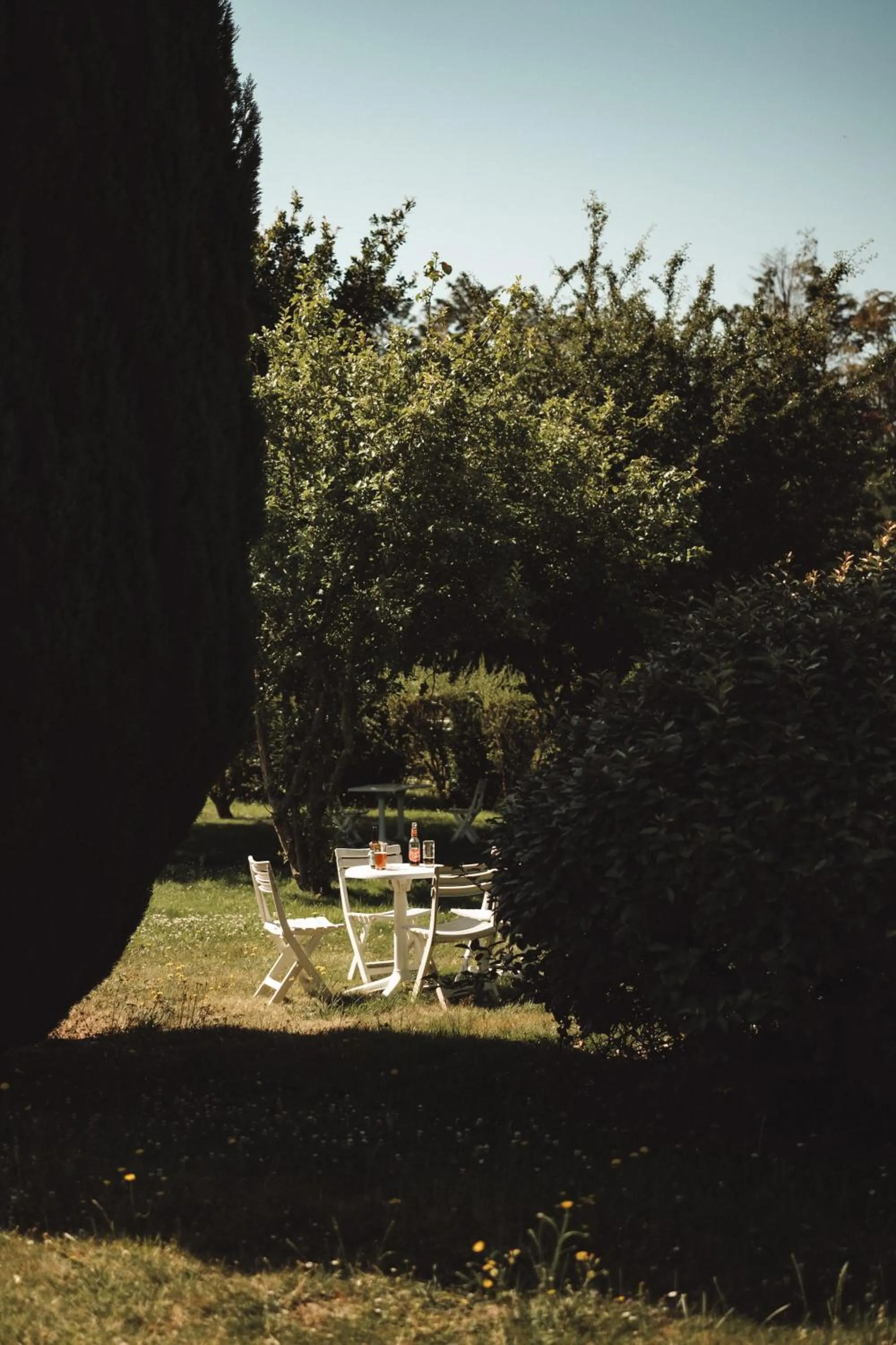 Natural landscape in Hôtel Les Voisins Beaucemaine