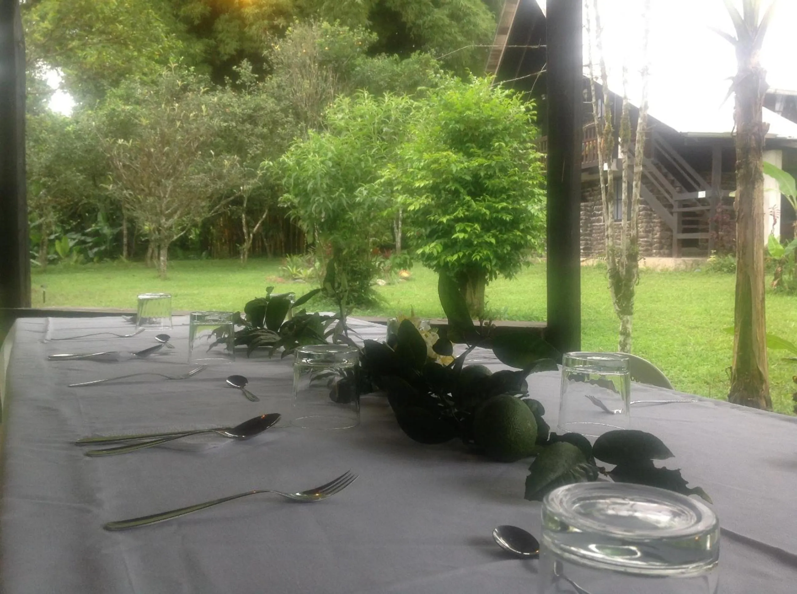 Garden view in Casa de Piedra