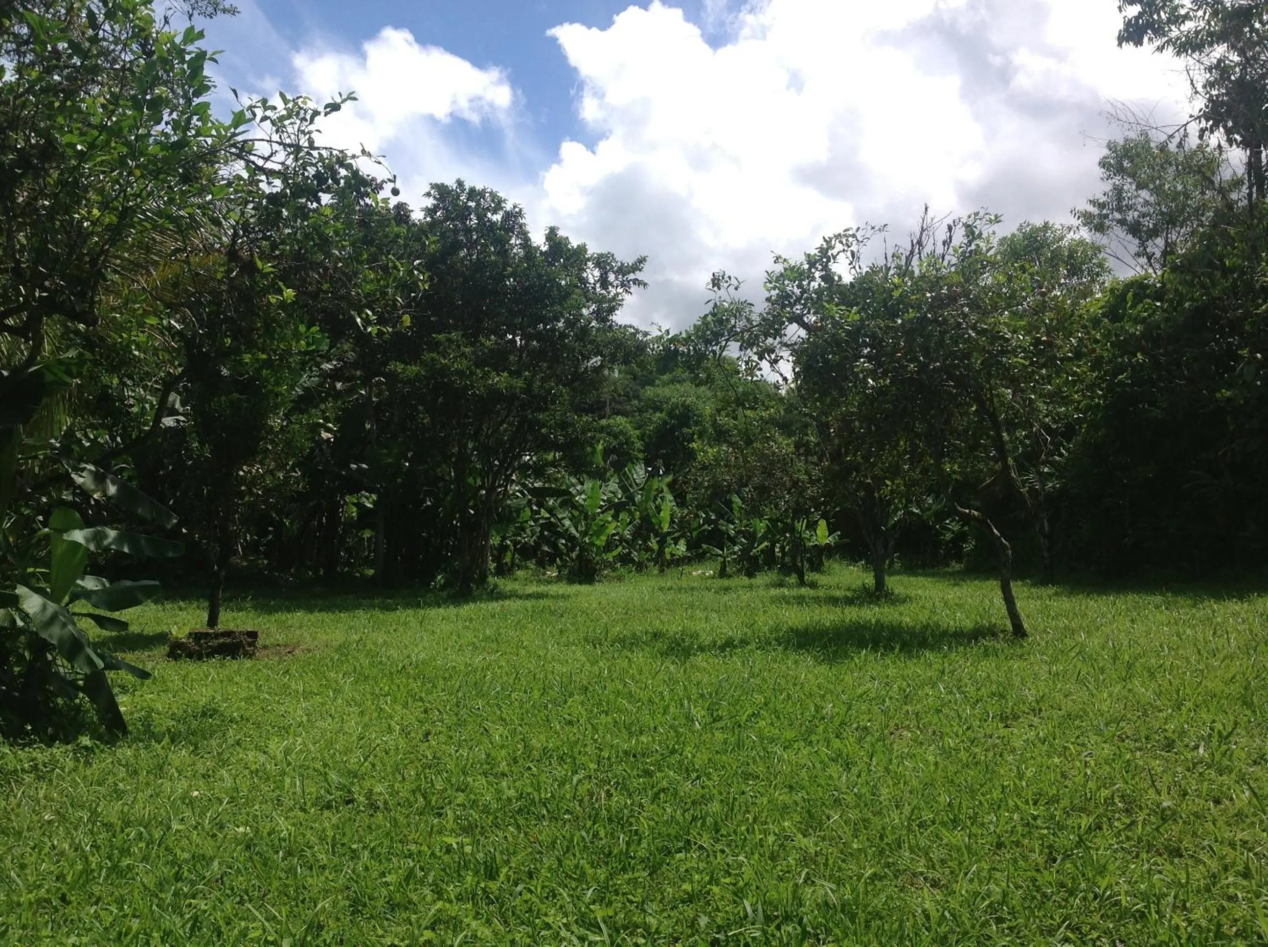 Garden in Casa de Piedra