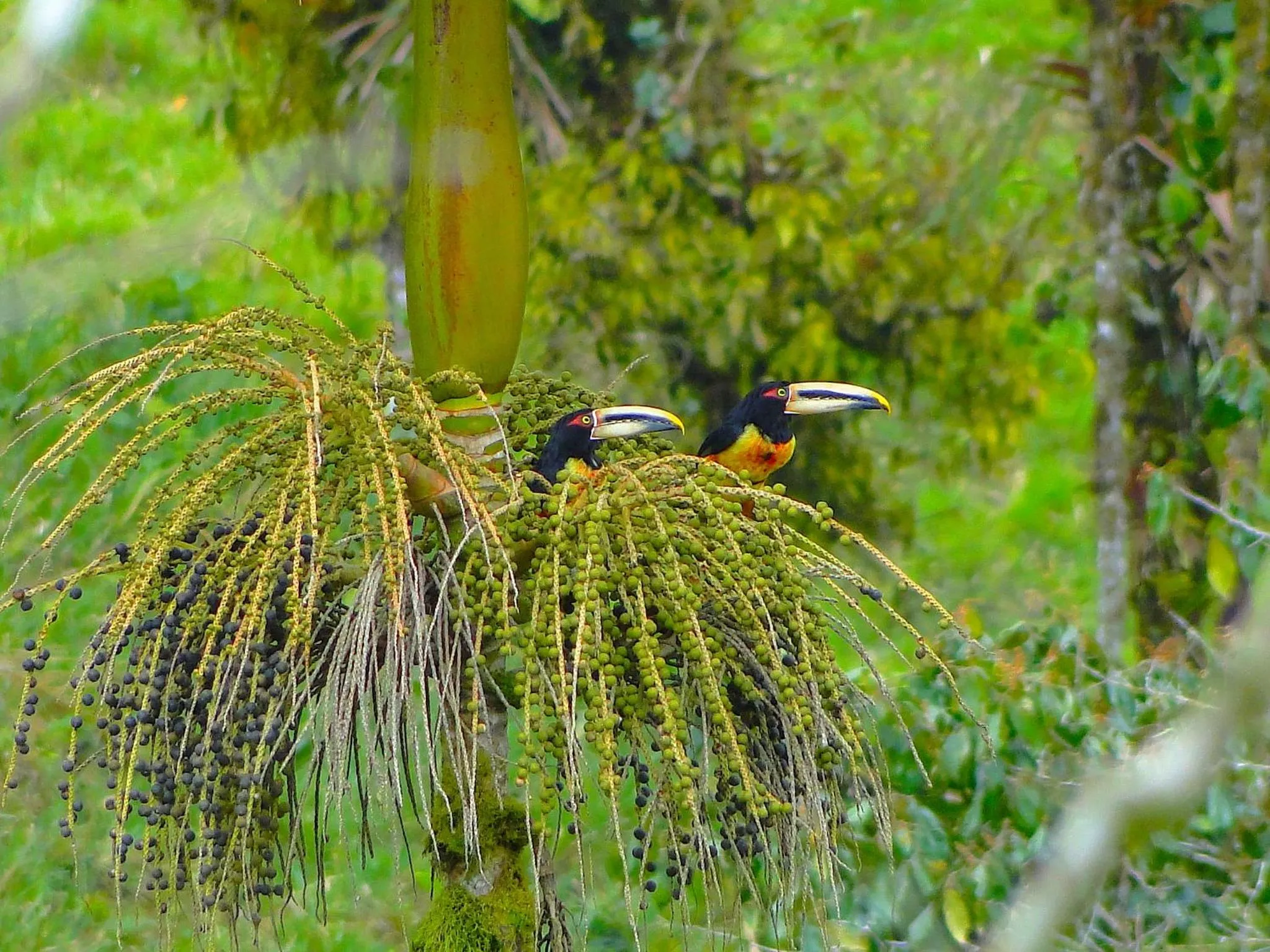 Off site in Casa de Piedra