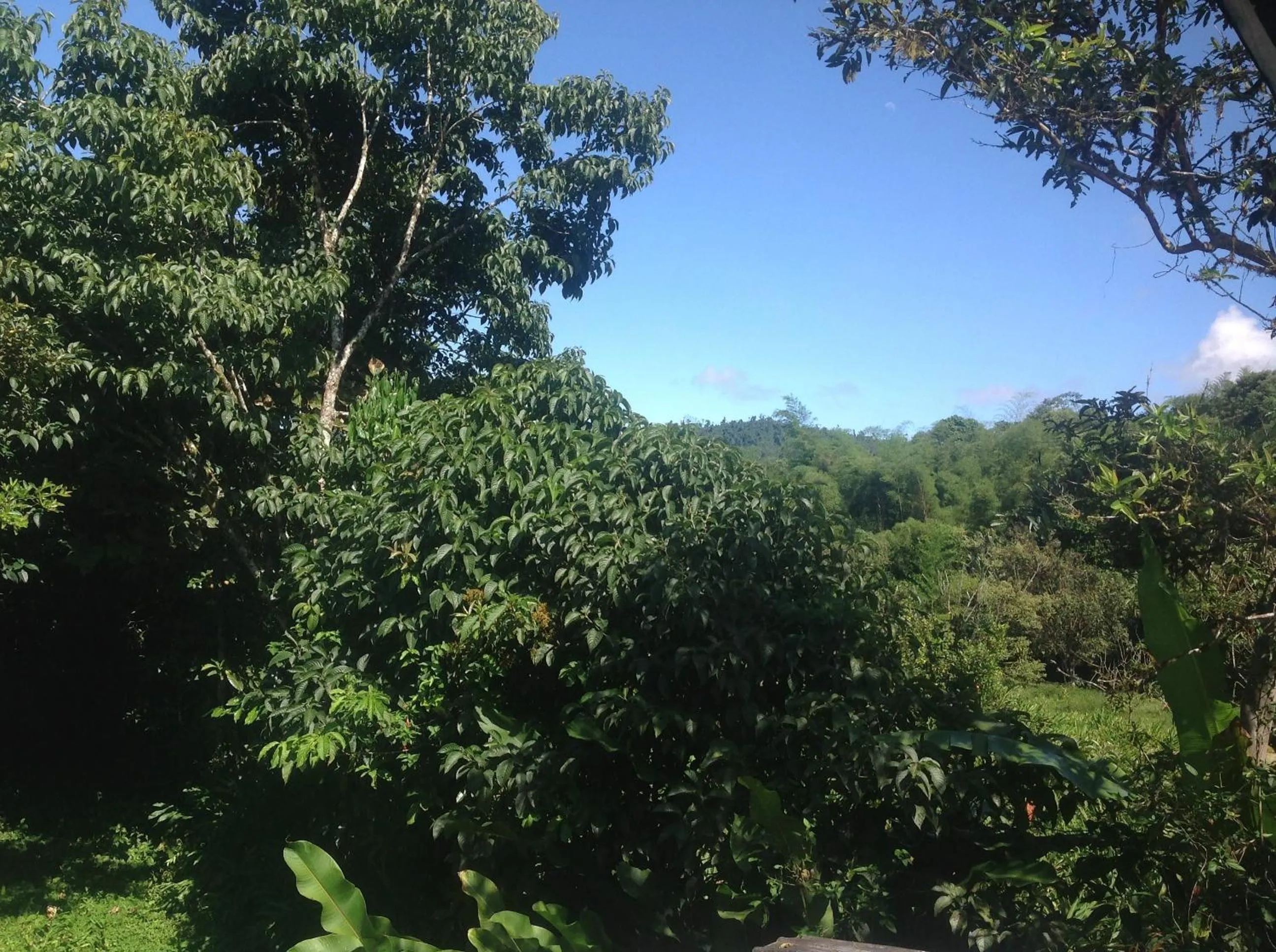 View (from property/room) in Casa de Piedra