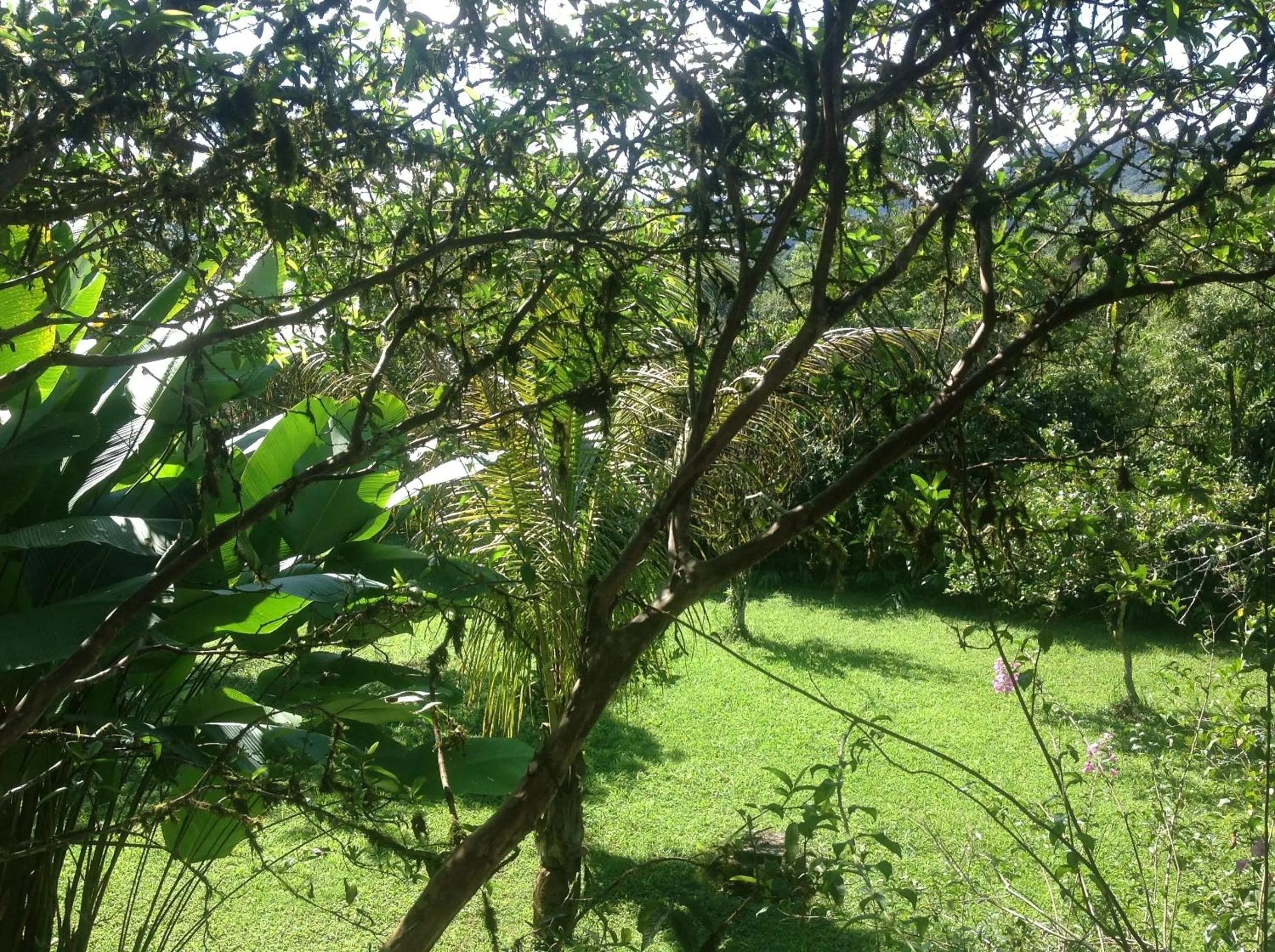 Garden in Casa de Piedra