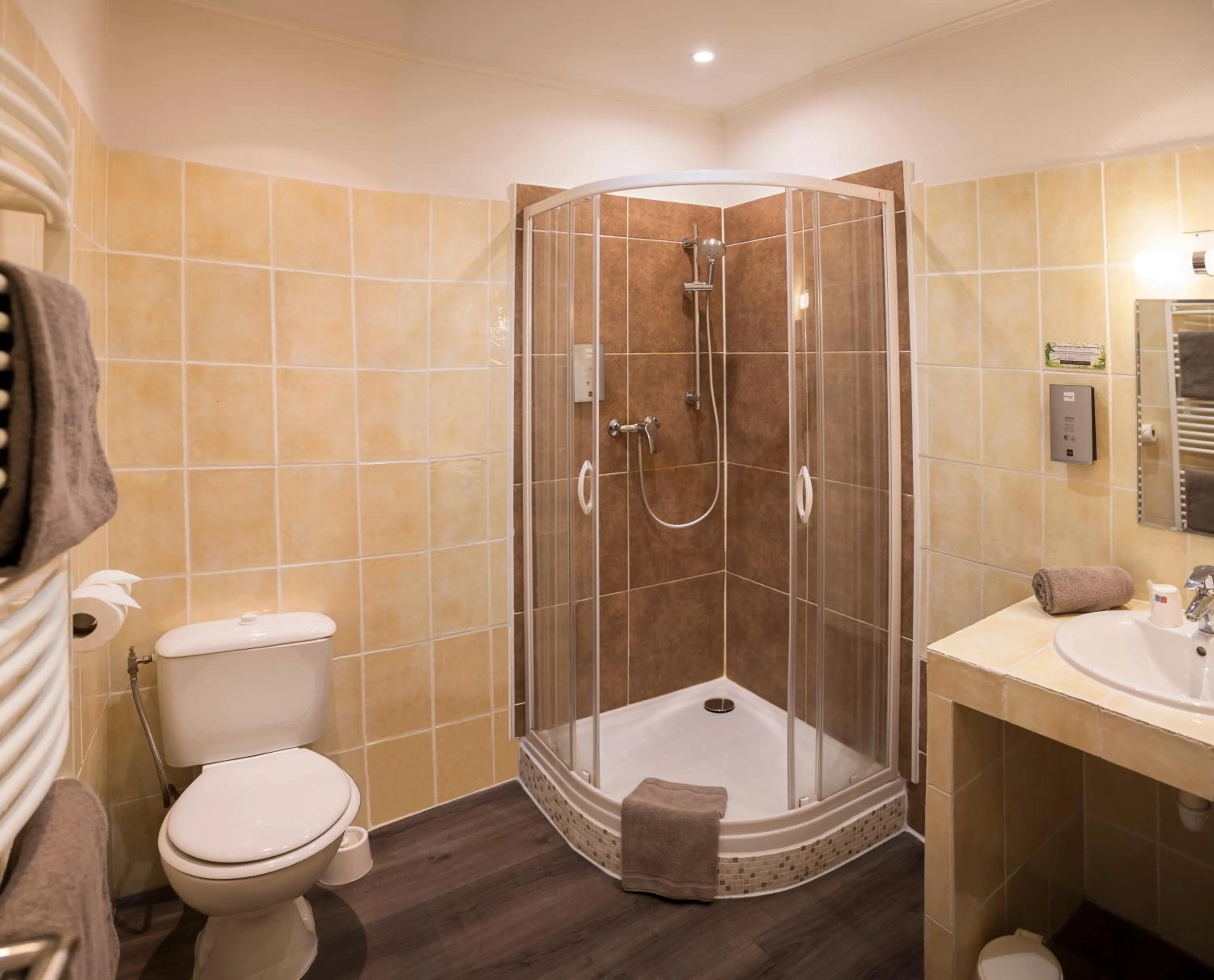 Bathroom in Hotel Toppin