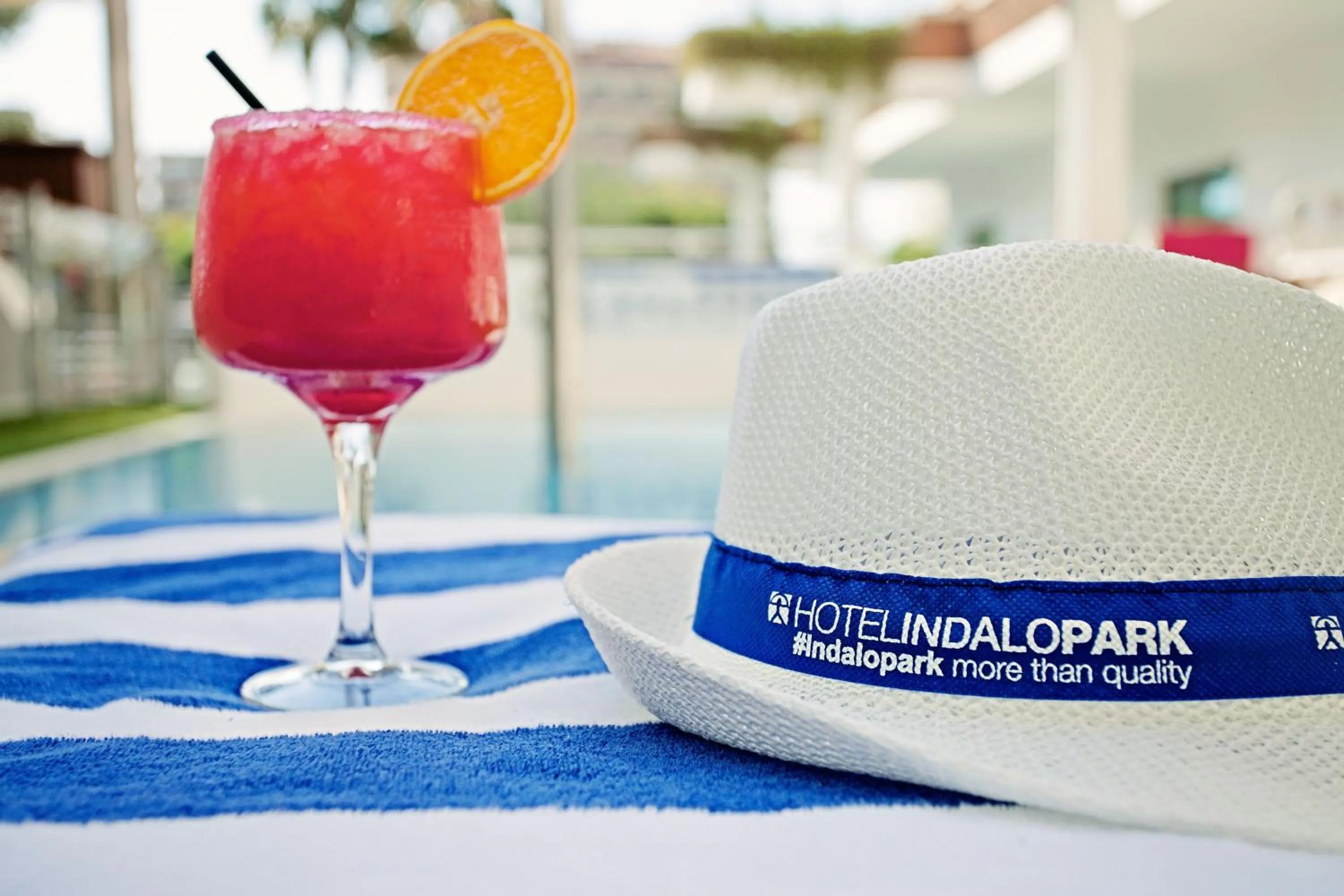 Property logo or sign in Hotel Indalo Park