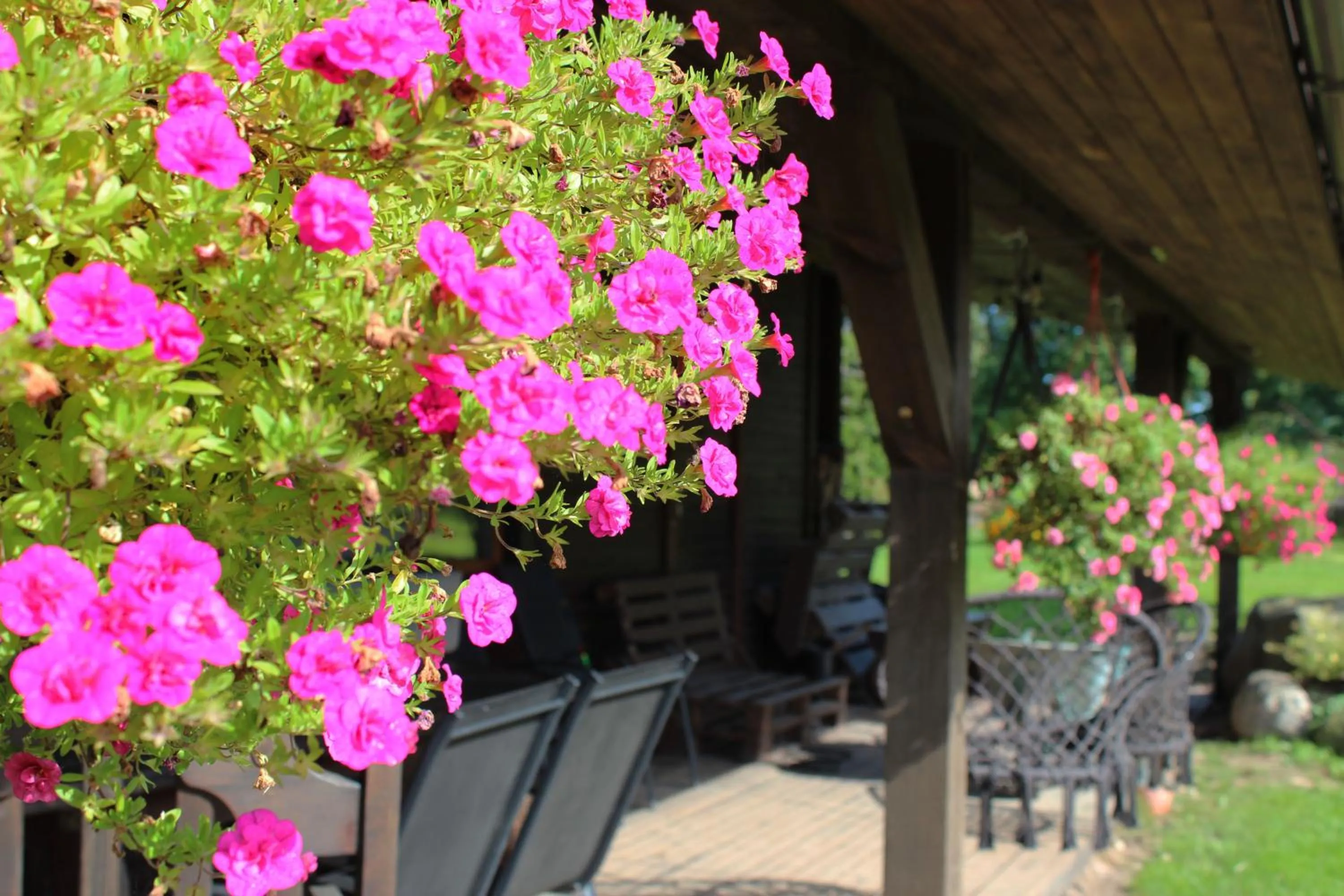 Garden in Weavers' Guest House Kalndaki
