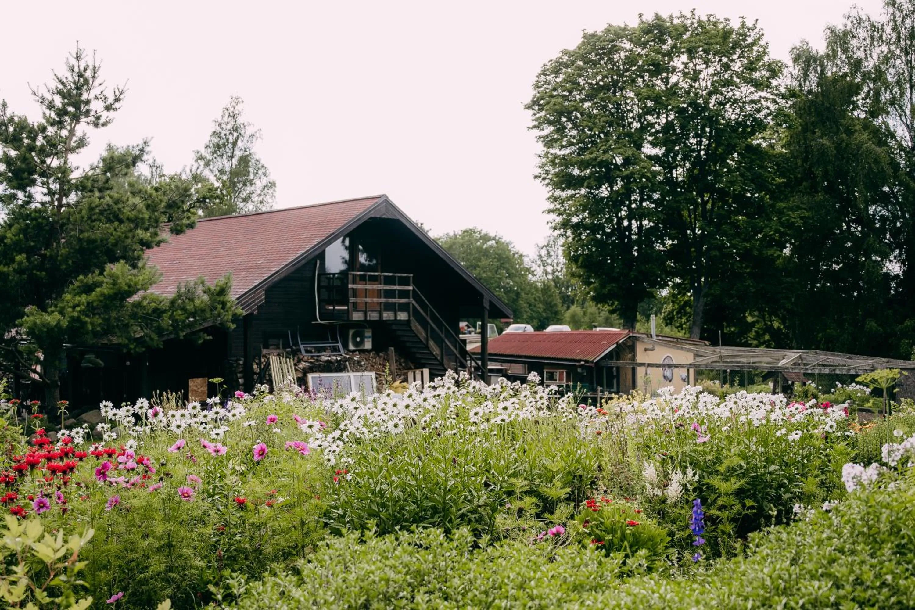 Neighbourhood in Weavers' Guest House Kalndaki