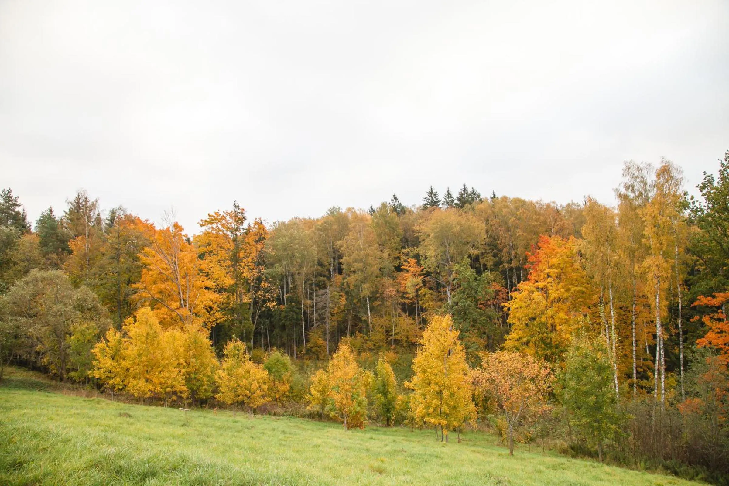 Day in Weavers' Guest House Kalndaki