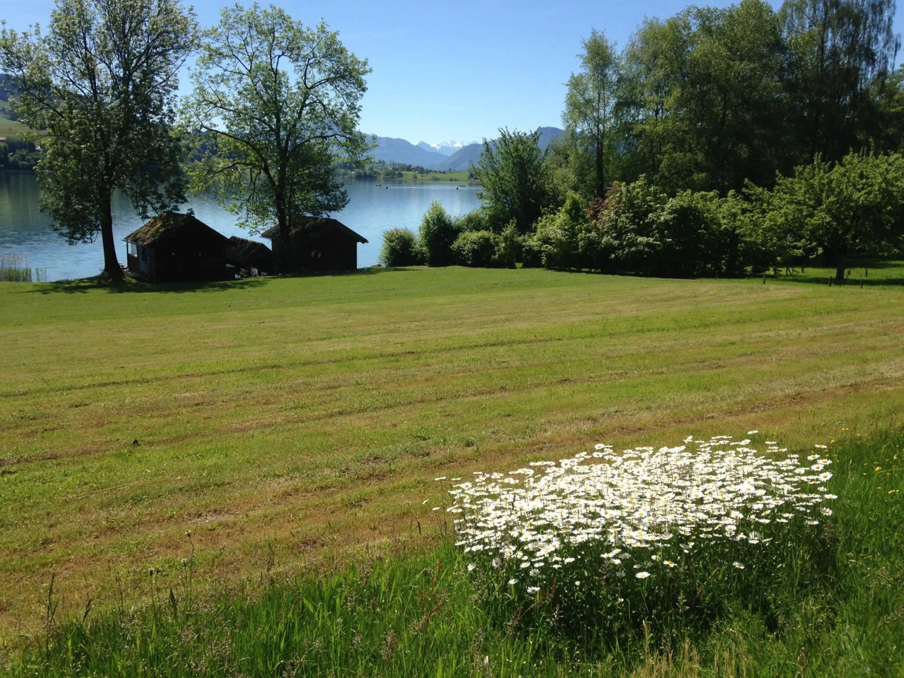 Beach in Hotel Garni Dorferwirt am Irrsee