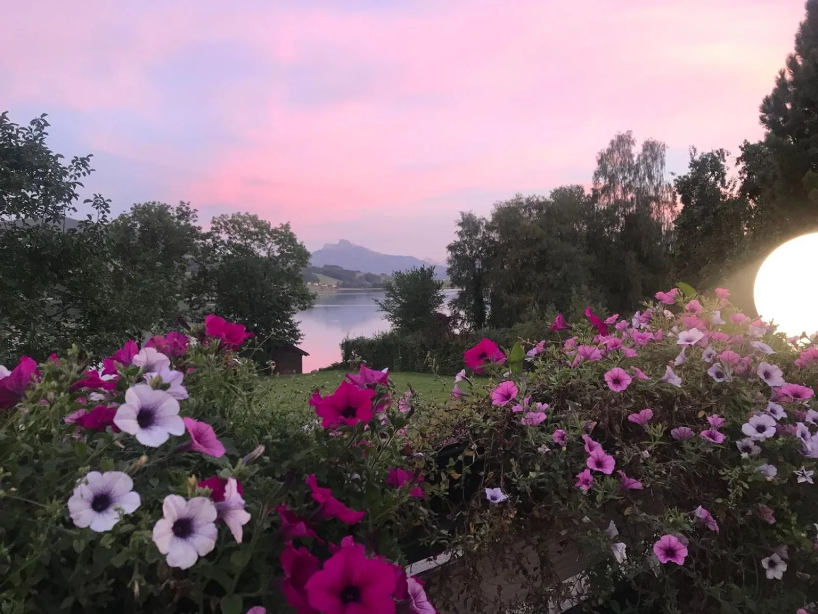 View (from property/room) in Hotel Garni Dorferwirt am Irrsee