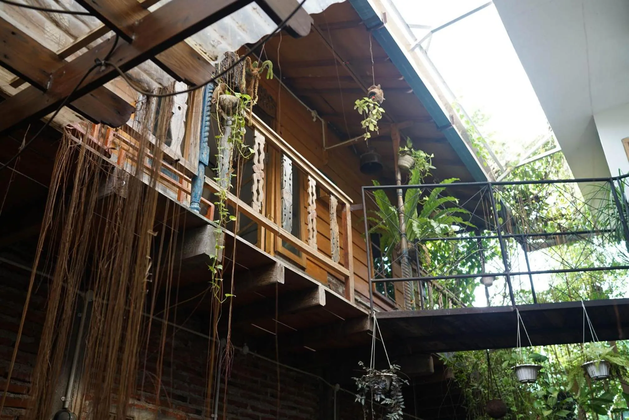 Happy House Bromo backpacker