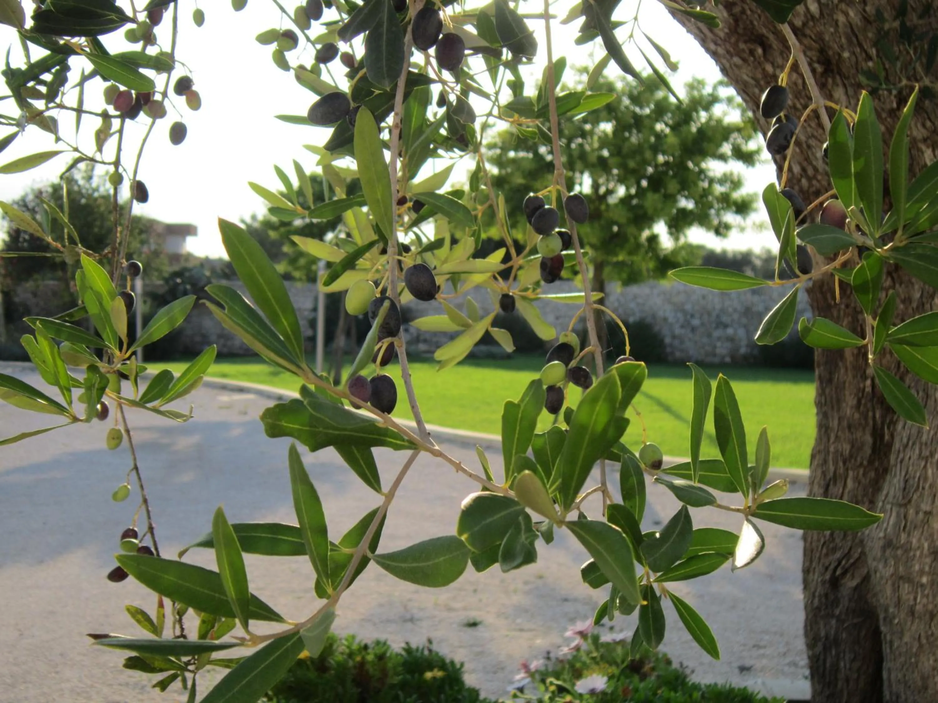 Facade/entrance in Willaria Country House