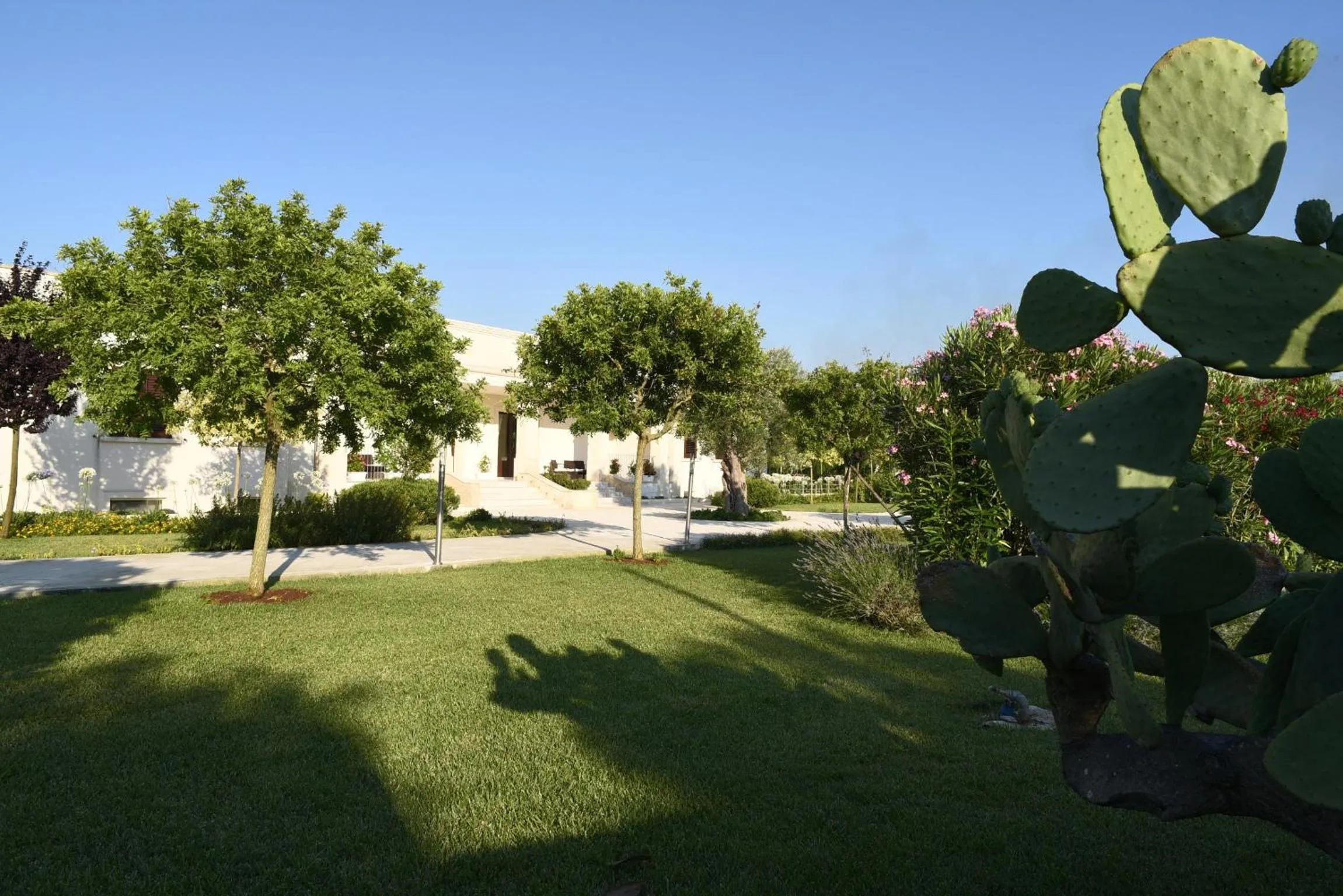 Garden view in Willaria Country House