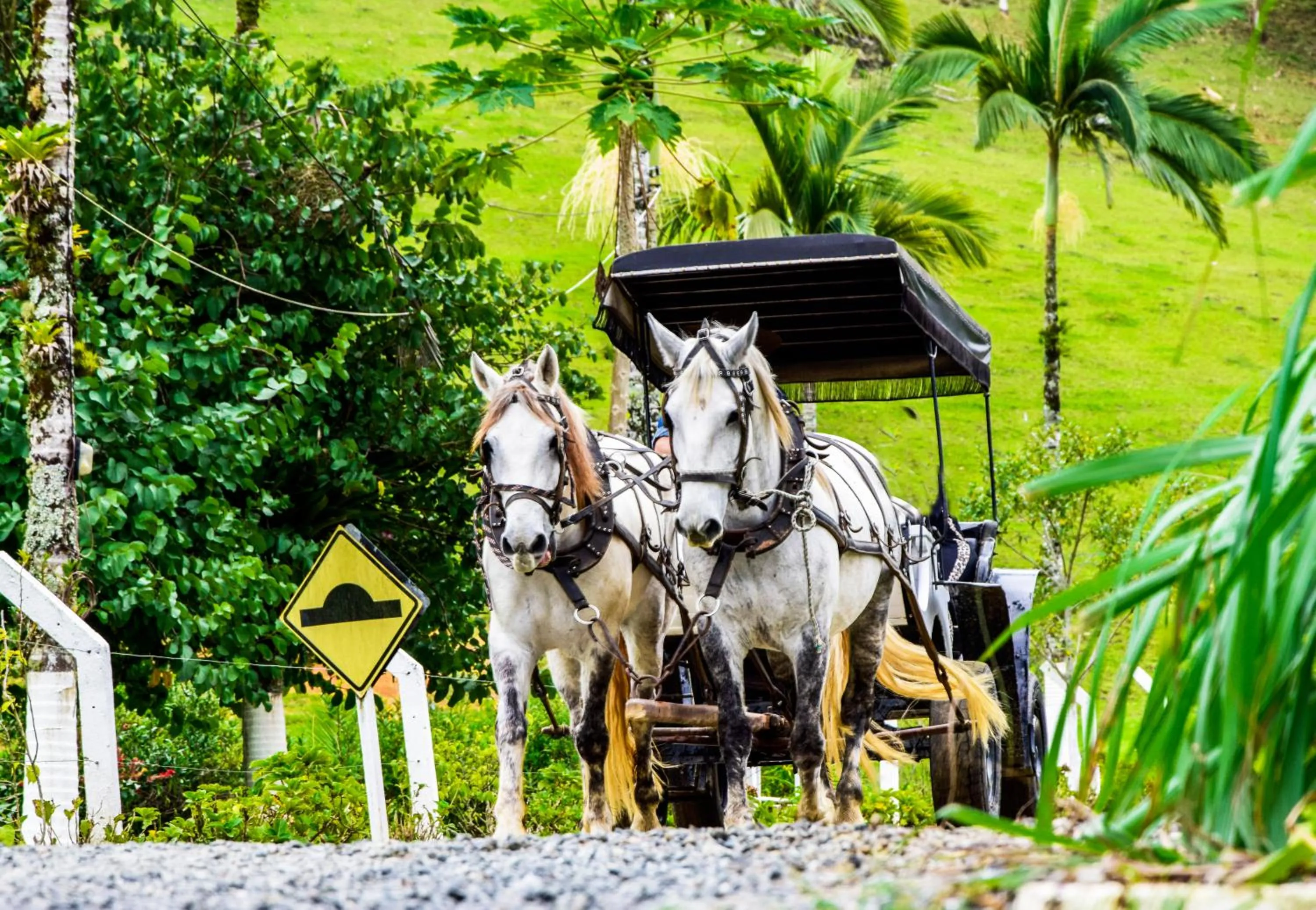 Horse-riding in Hotel Fazenda Casarão do Vale
