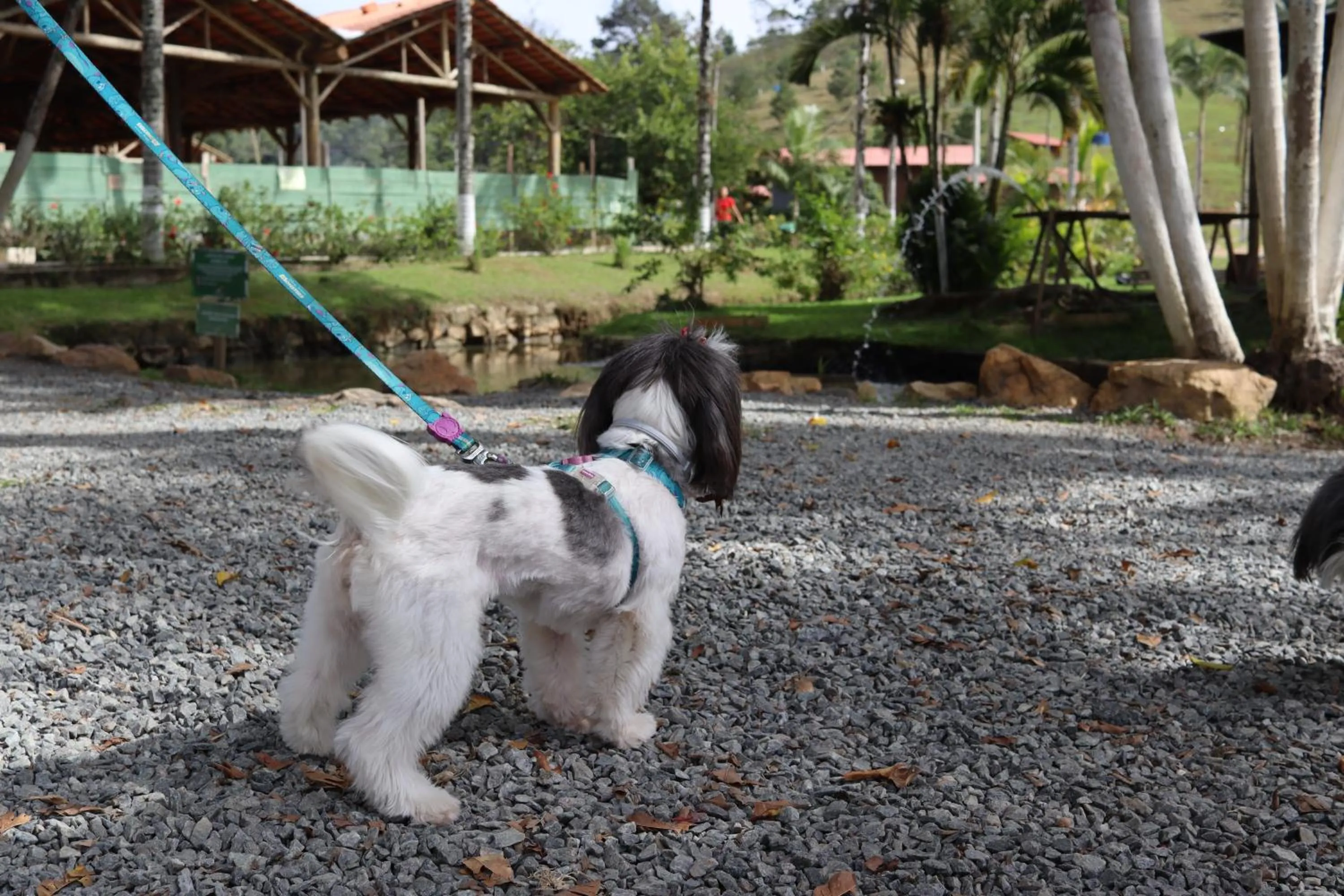 Hotel Fazenda Casarão do Vale