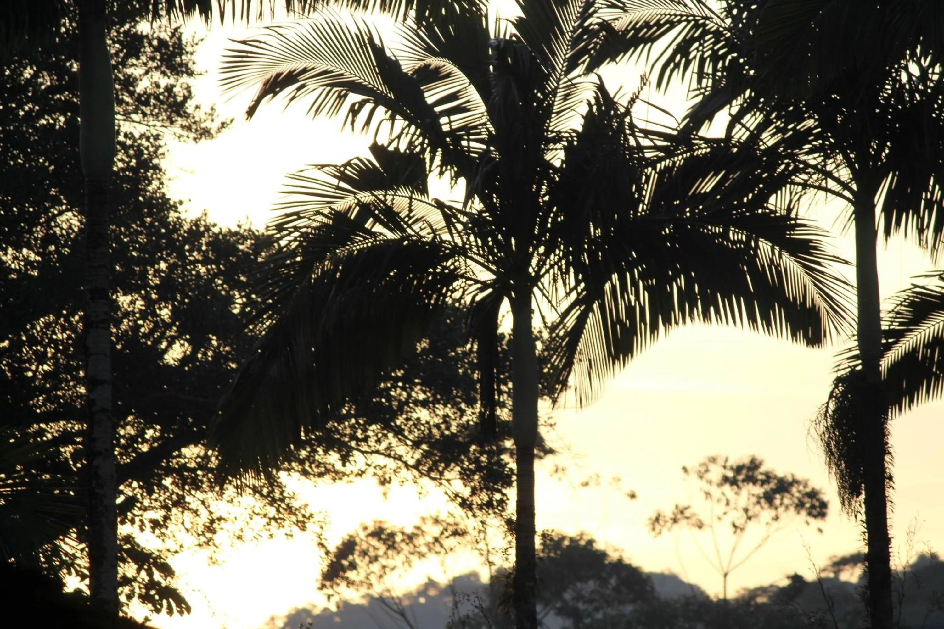 Garden in Hotel Fazenda Casarão do Vale