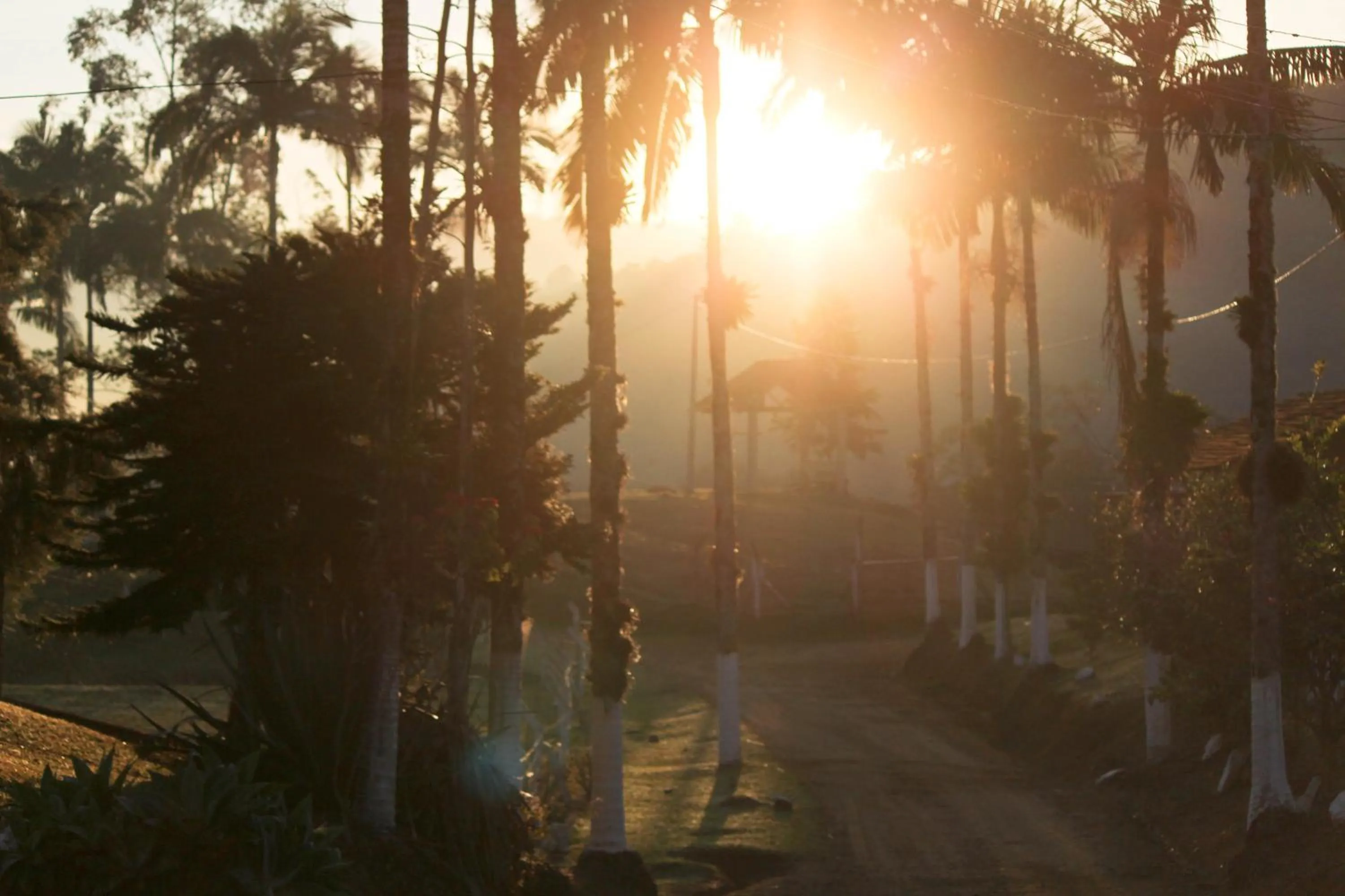 Garden in Hotel Fazenda Casarão do Vale
