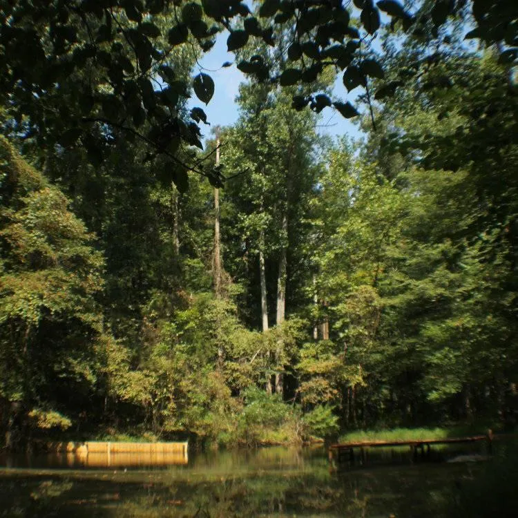 Natural landscape in Lost River Hostel