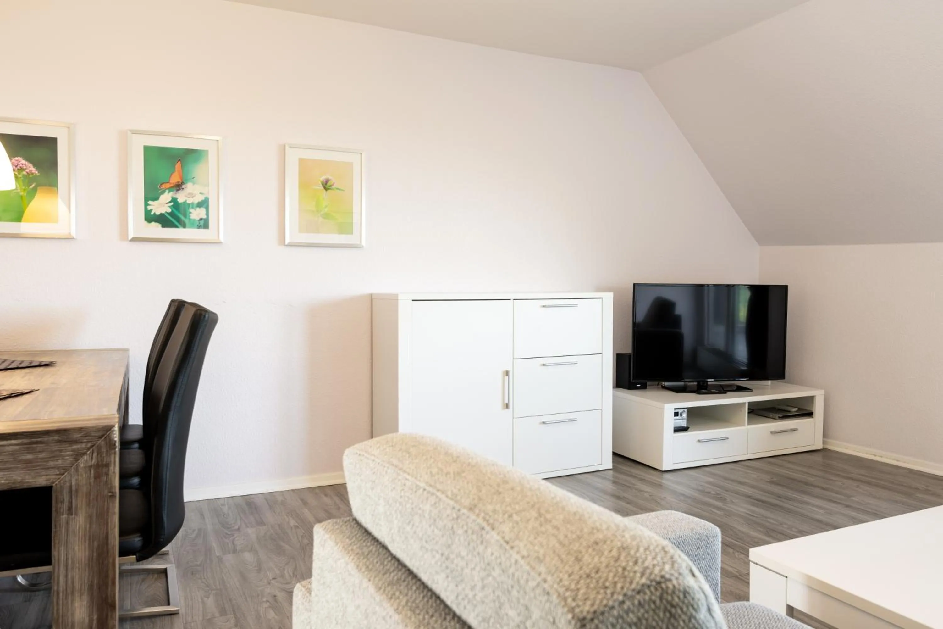 TV and multimedia in Gemünder Ferienpark Salzberg