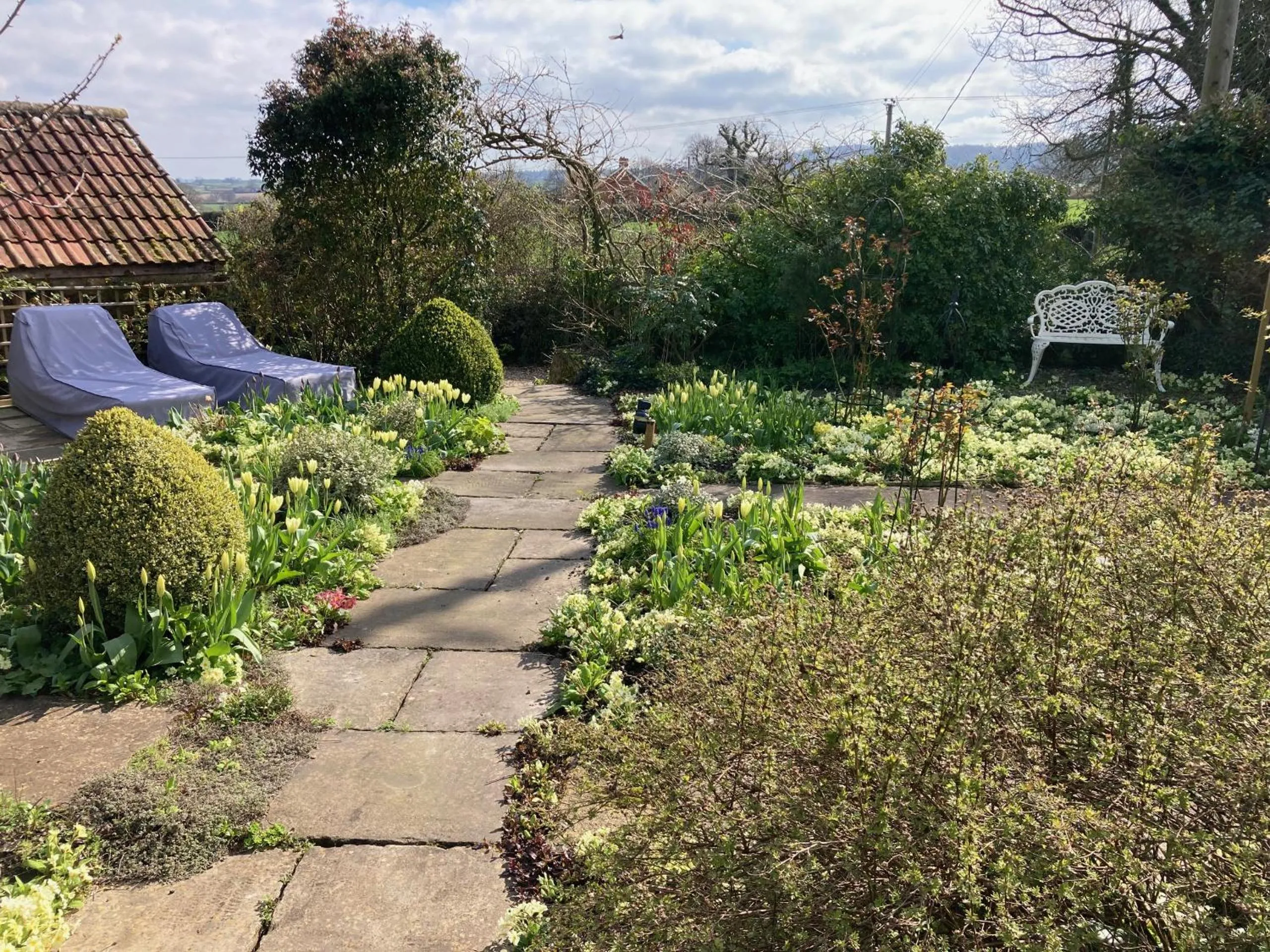 Garden in Corner House