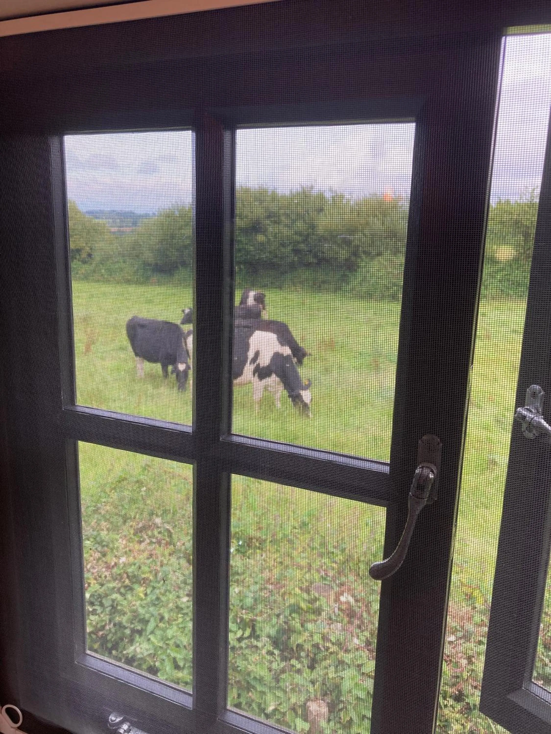 Bedroom in Corner House