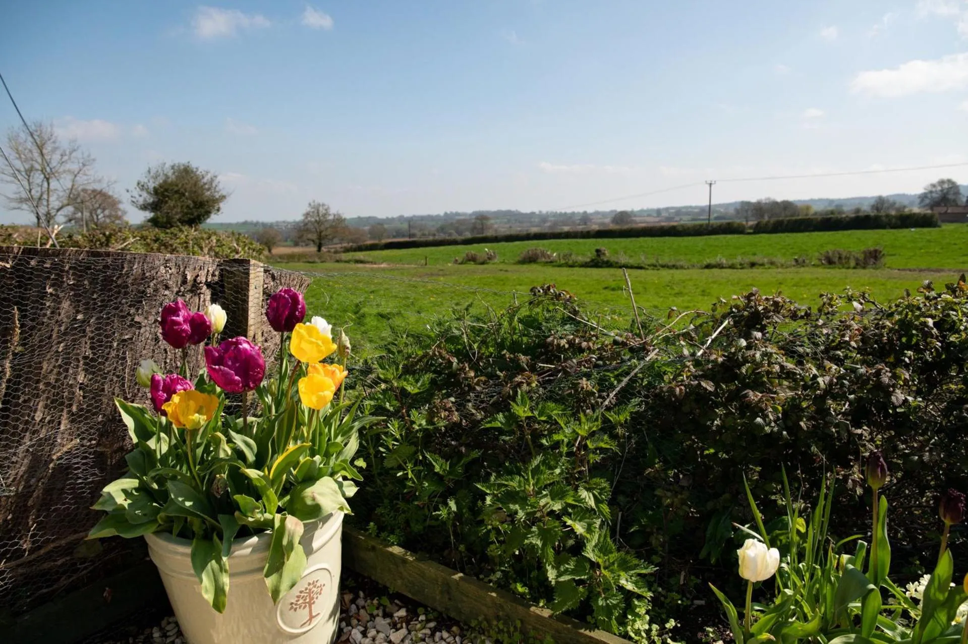 Property building in Corner House
