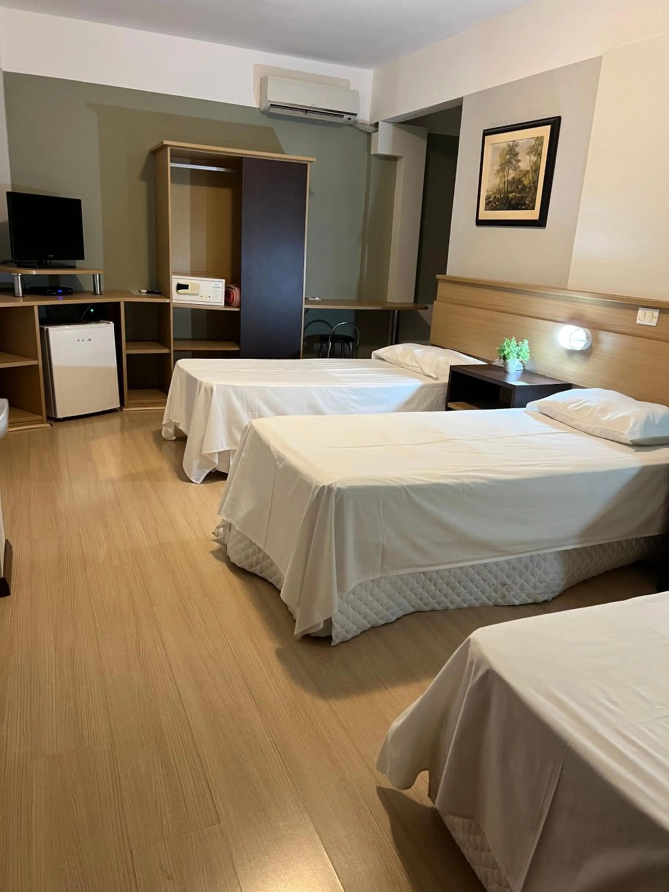 Luxury Triple Room - single occupancy in Hotel Steinhausen