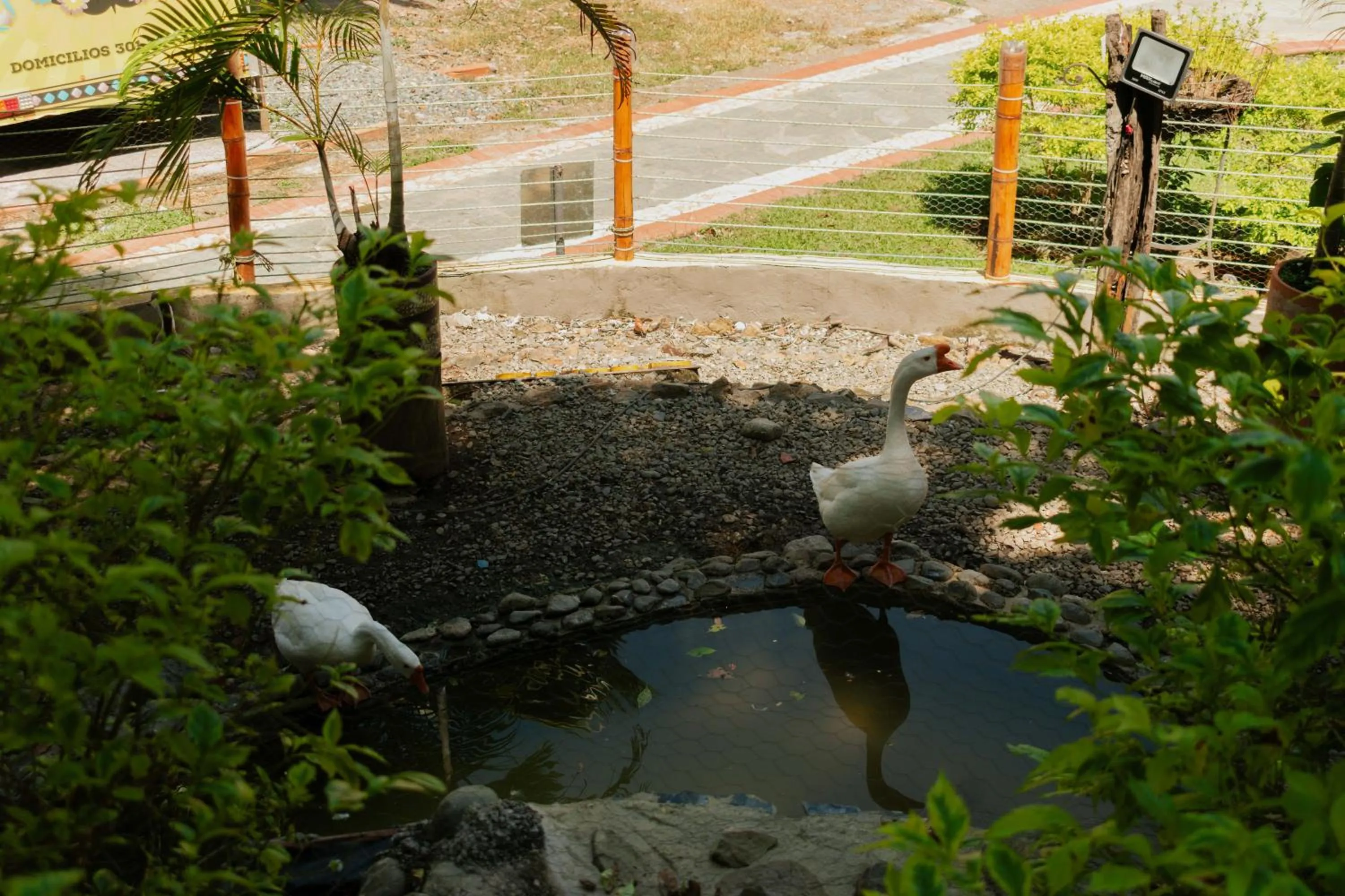 Natural landscape in Hotel Portón del Sol