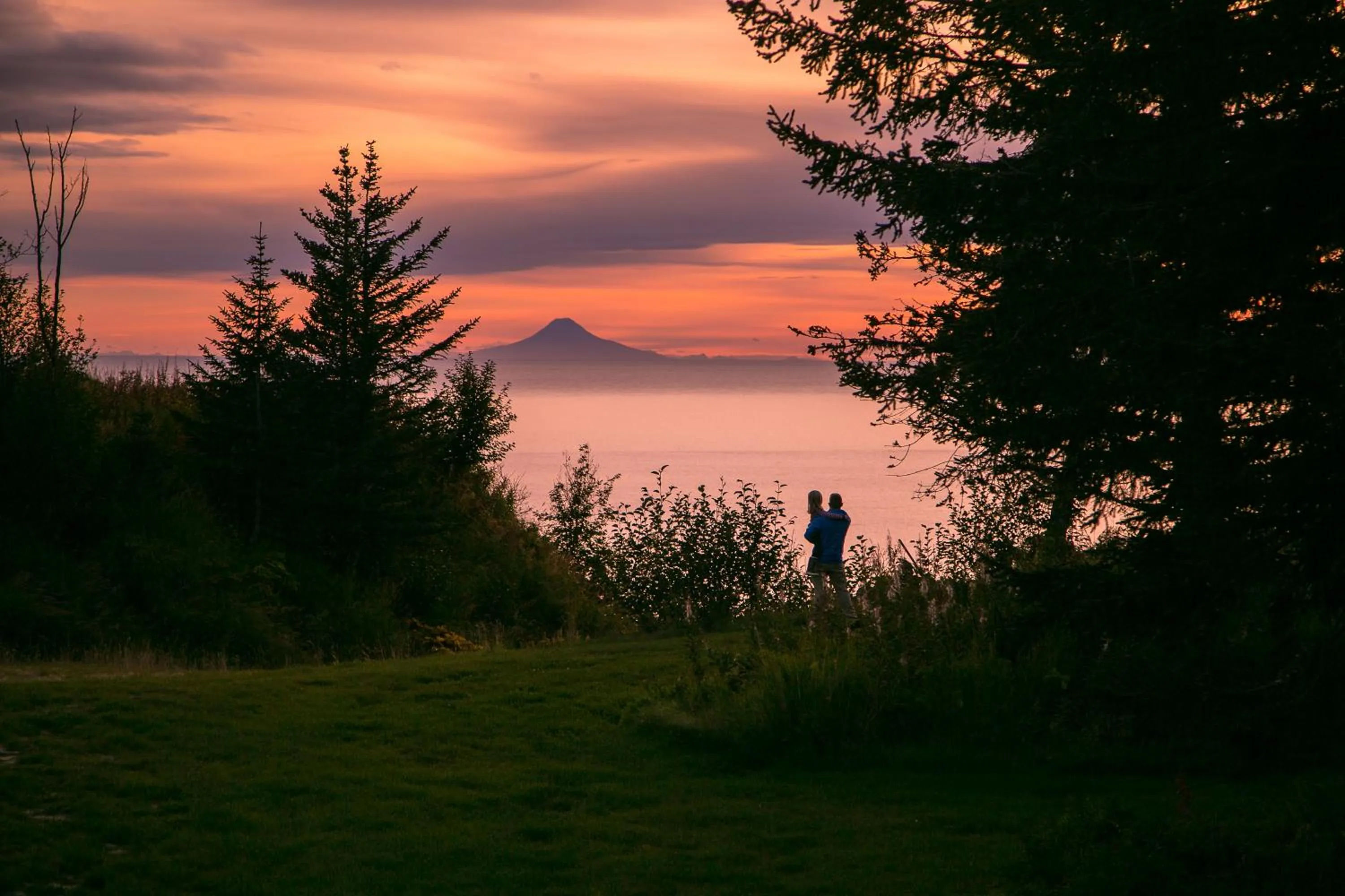 Summer in Kenai Peninsula Suites