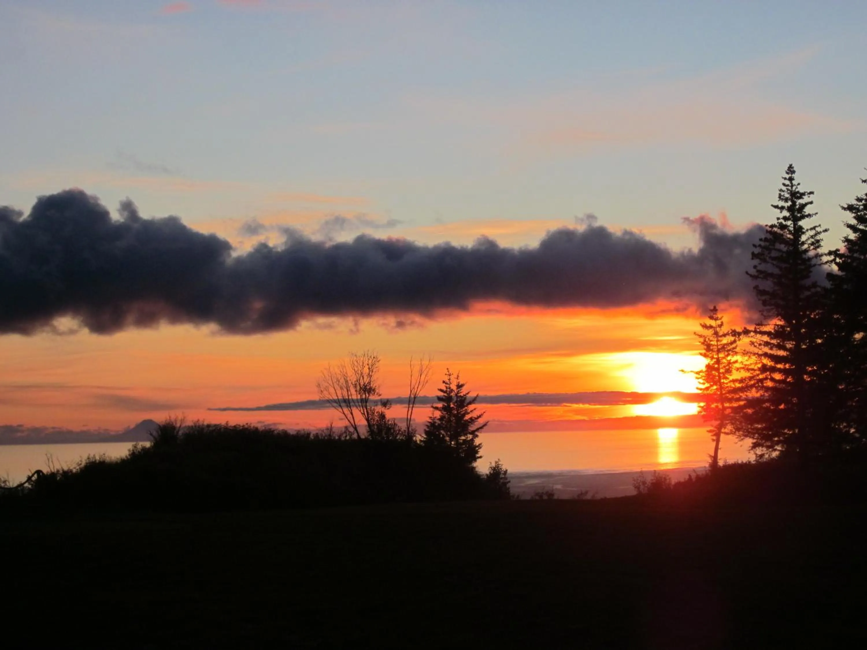 Winter in Kenai Peninsula Suites