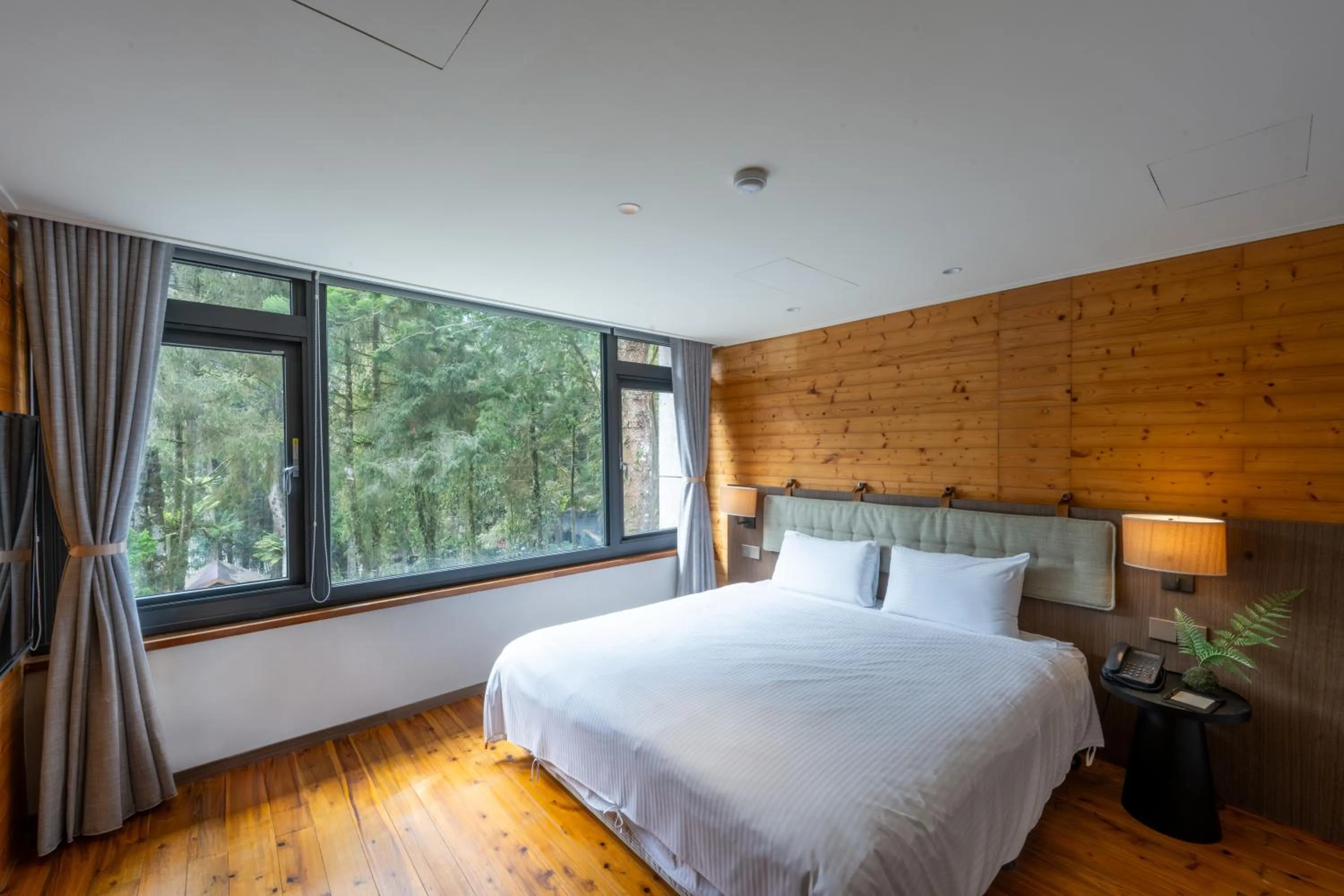 Photo of the whole room, Bed in Howard Resort Xitou