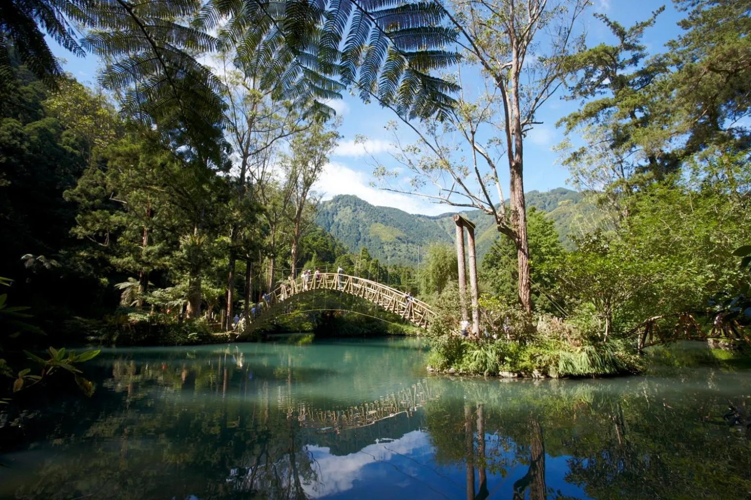 Natural landscape in Howard Resort Xitou