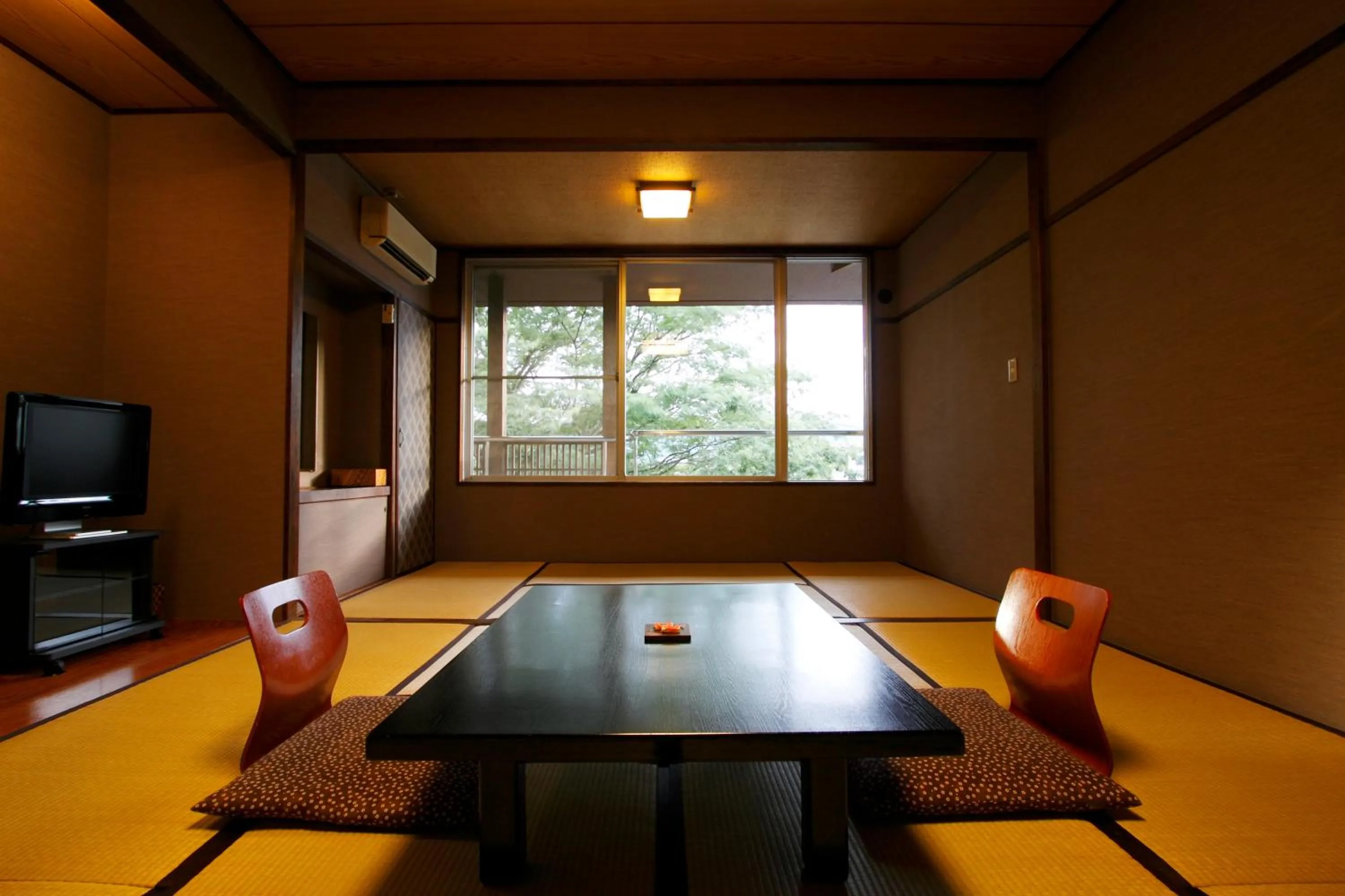 Photo of the whole room in Mount View Hakone