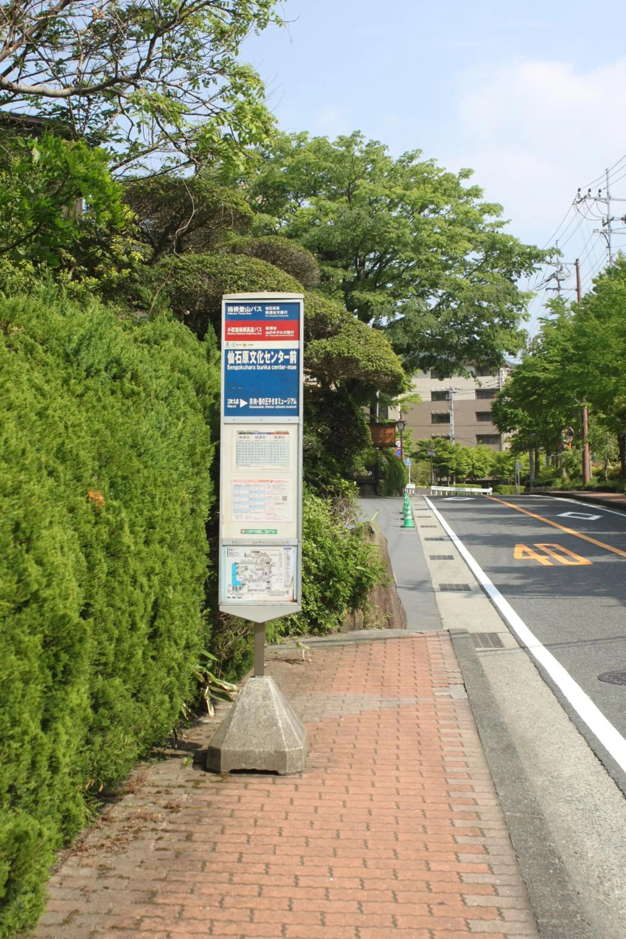 Nearby landmark in Mount View Hakone