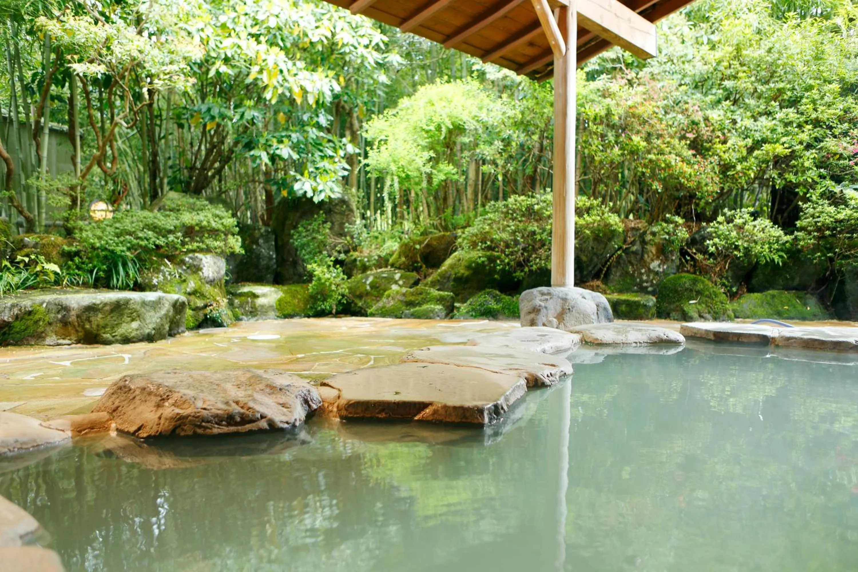 Hot Spring Bath in Mount View Hakone