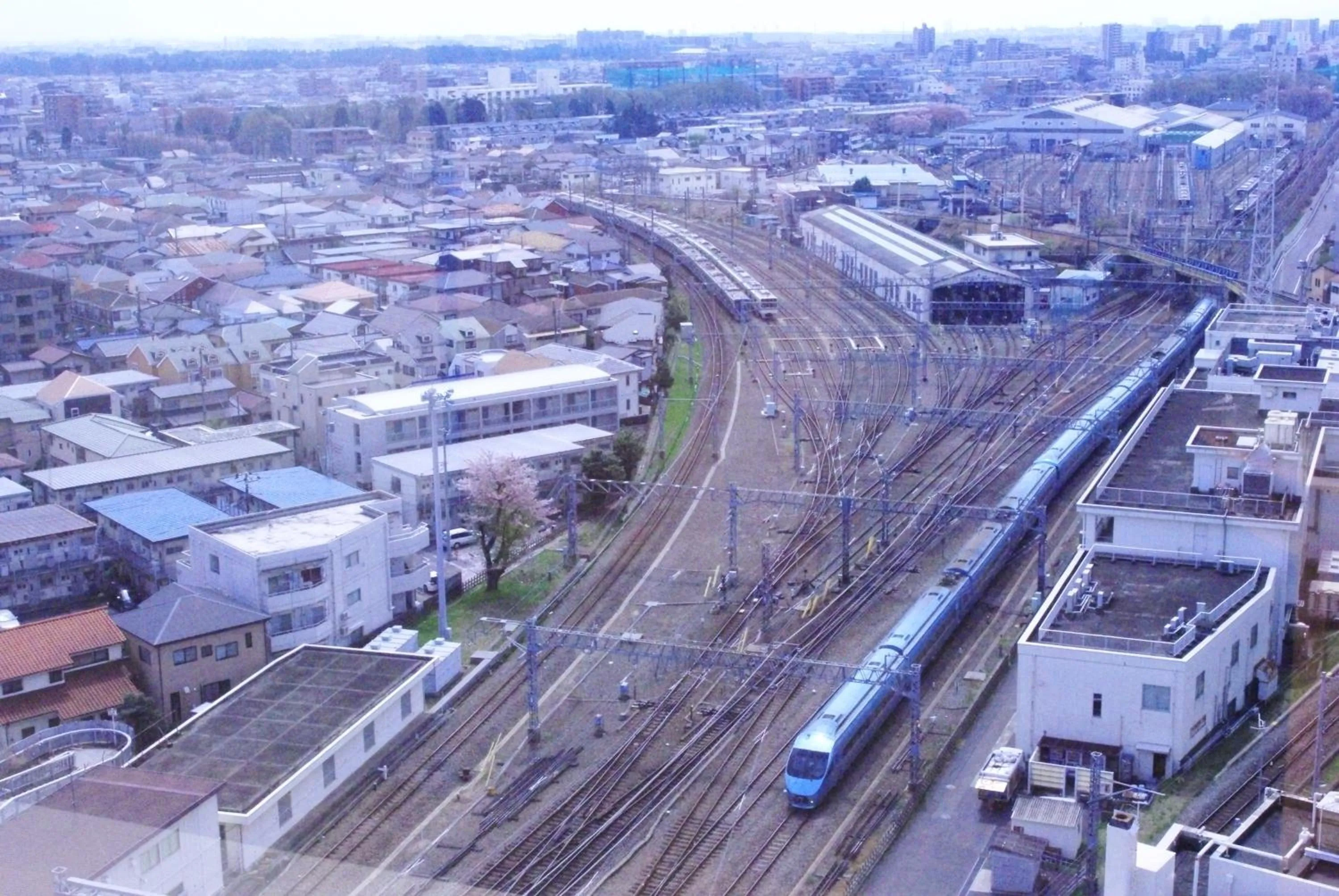 View (from property/room) in Odakyu Hotel Century Sagami Ono