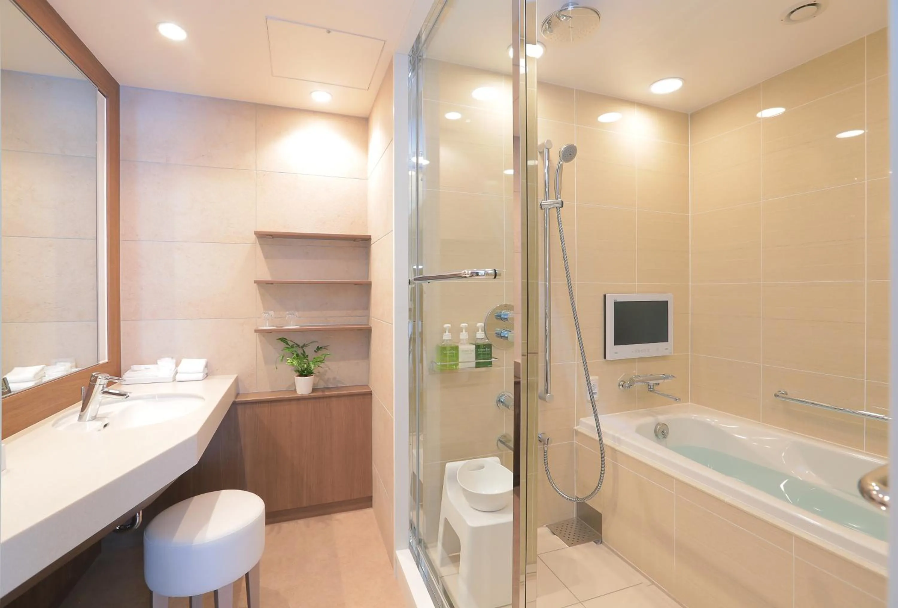 Bathroom in Odakyu Hotel Century Sagami Ono