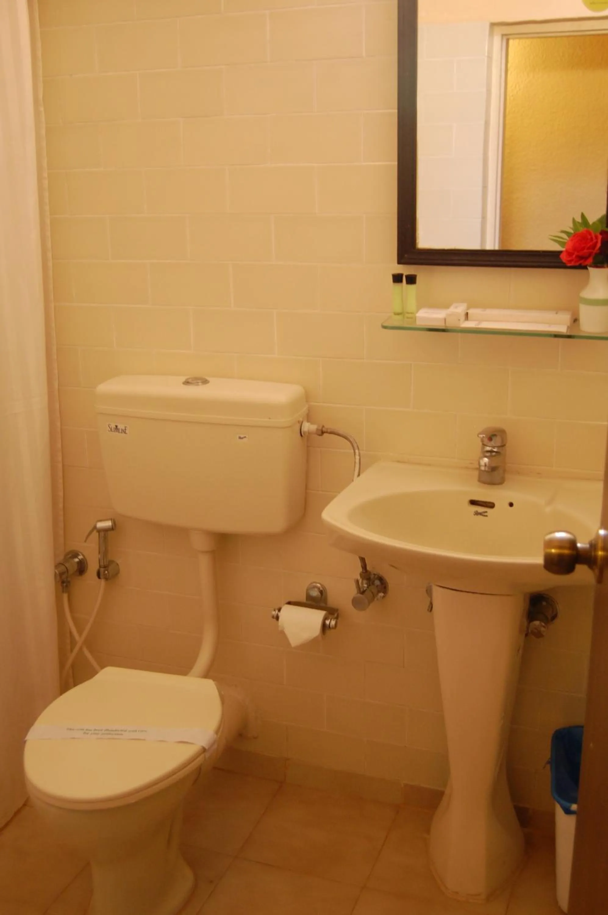 Toilet in Green Pastures - A Hill Country Resort