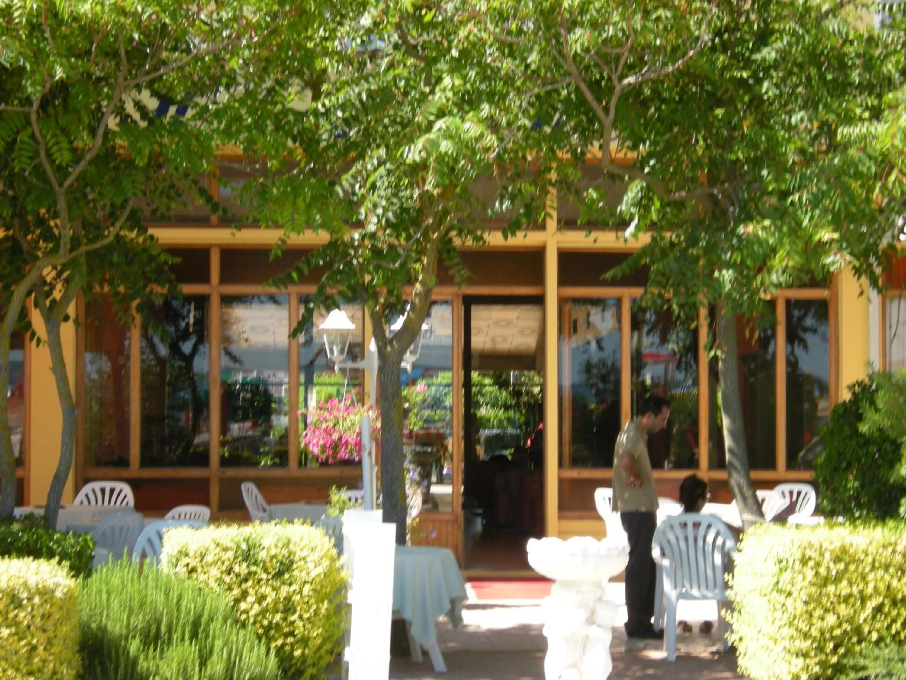 Patio in Hotel Continental