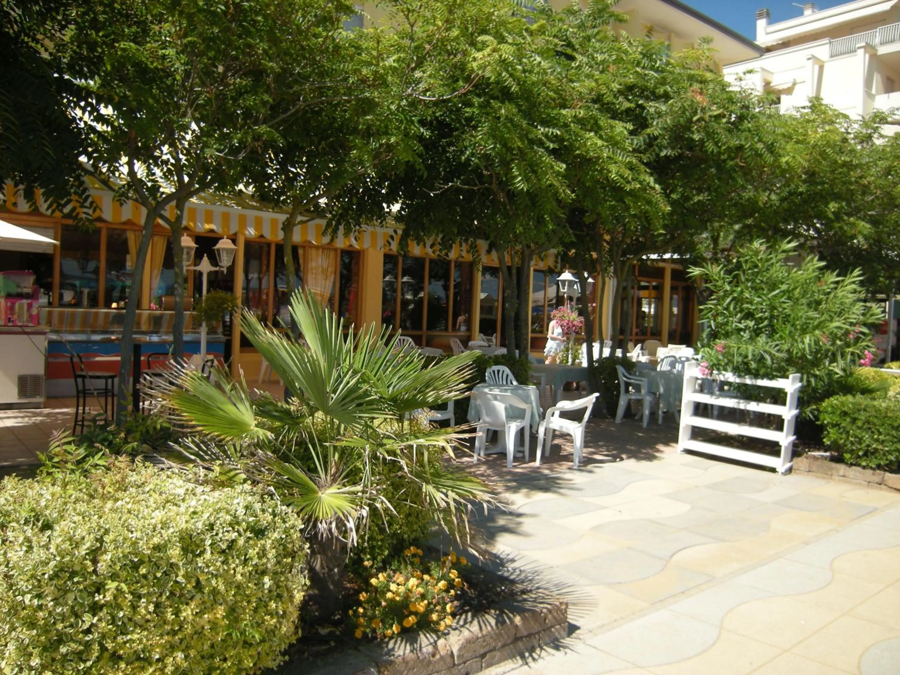 Patio in Hotel Continental