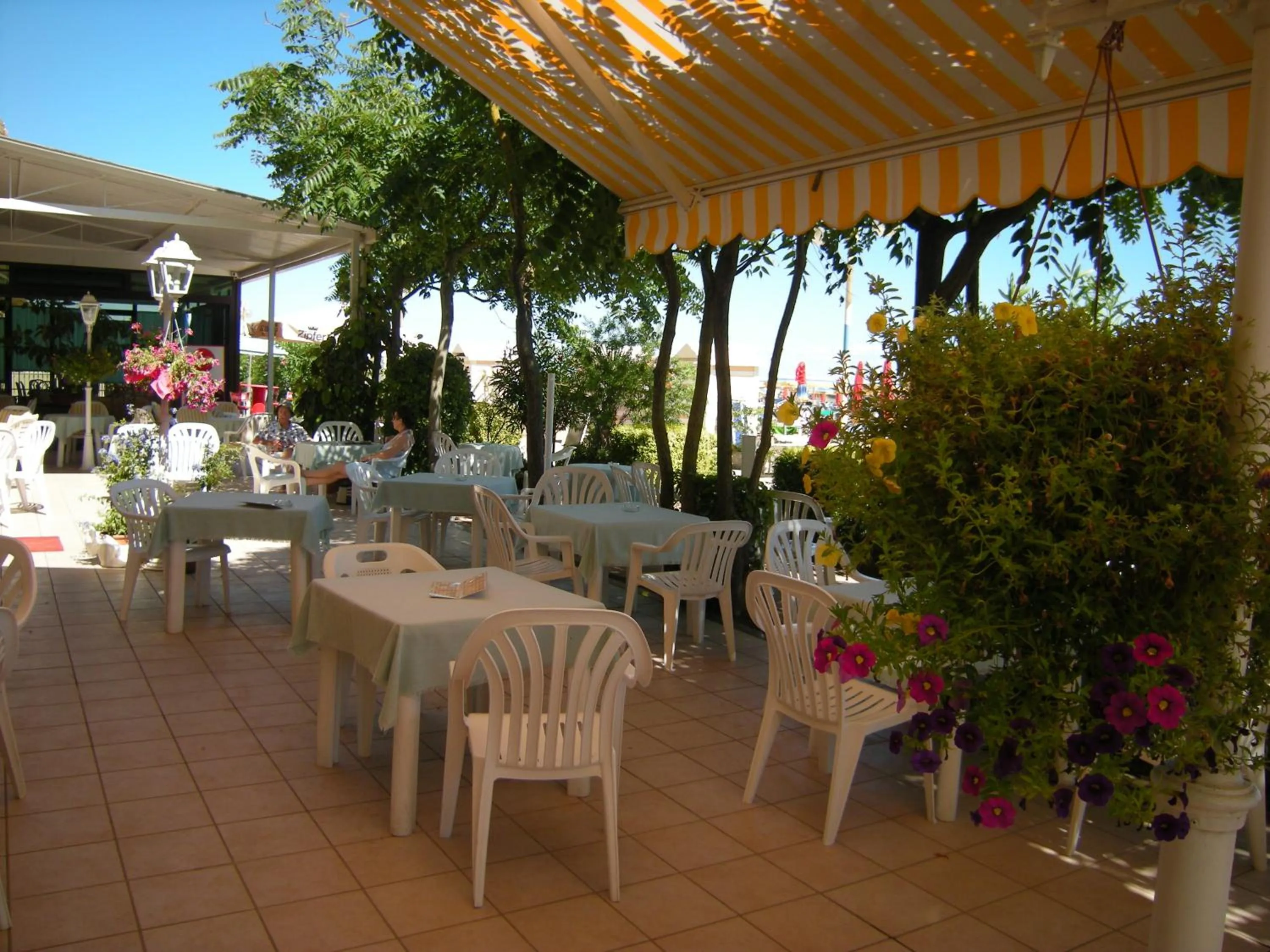 Patio in Hotel Continental