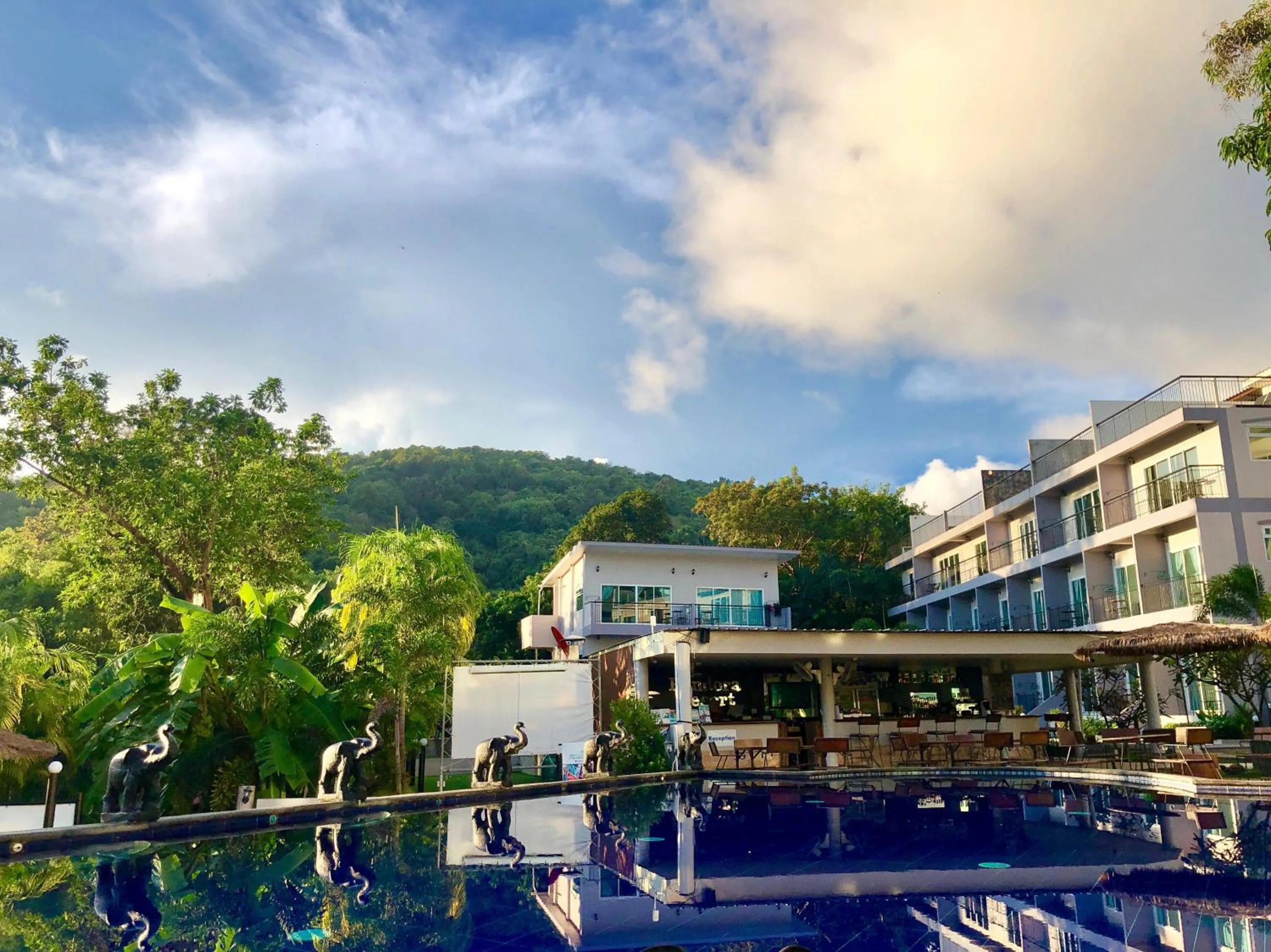 Swimming pool in Pandora
