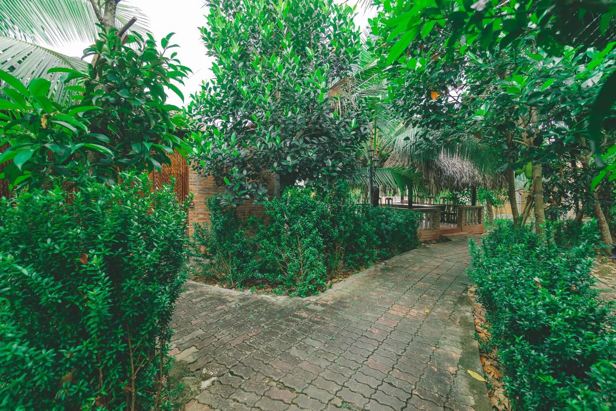 Natural landscape in CASA ECO Mekong Resort