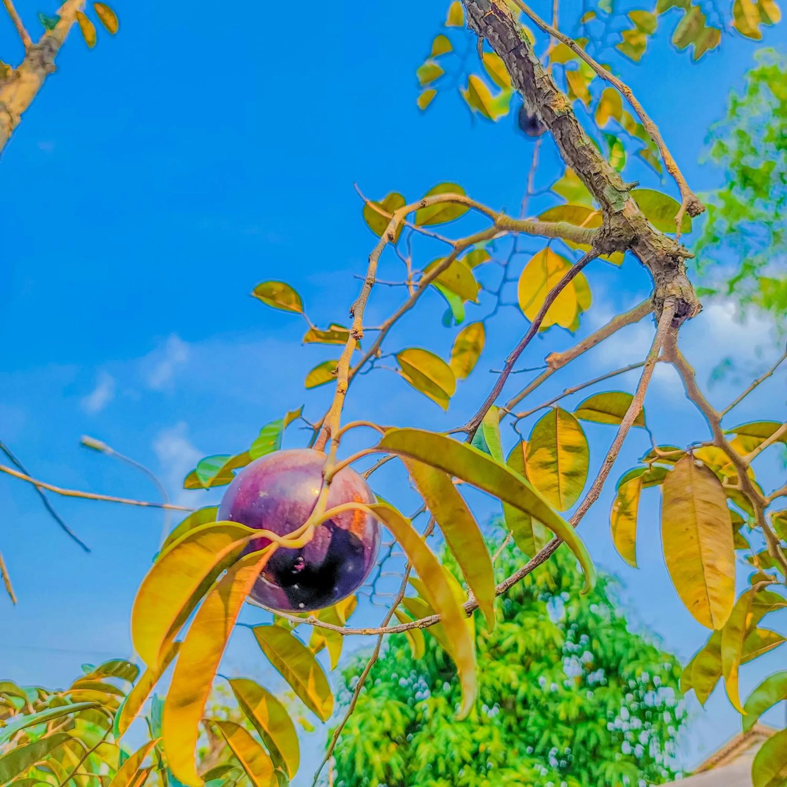 Natural landscape in CASA ECO Mekong Resort