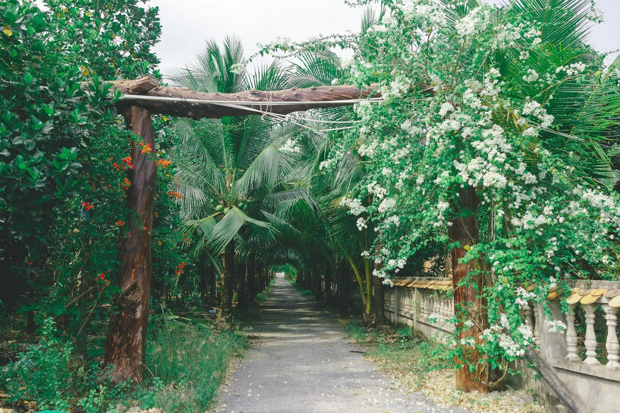 Spring in CASA ECO Mekong Resort