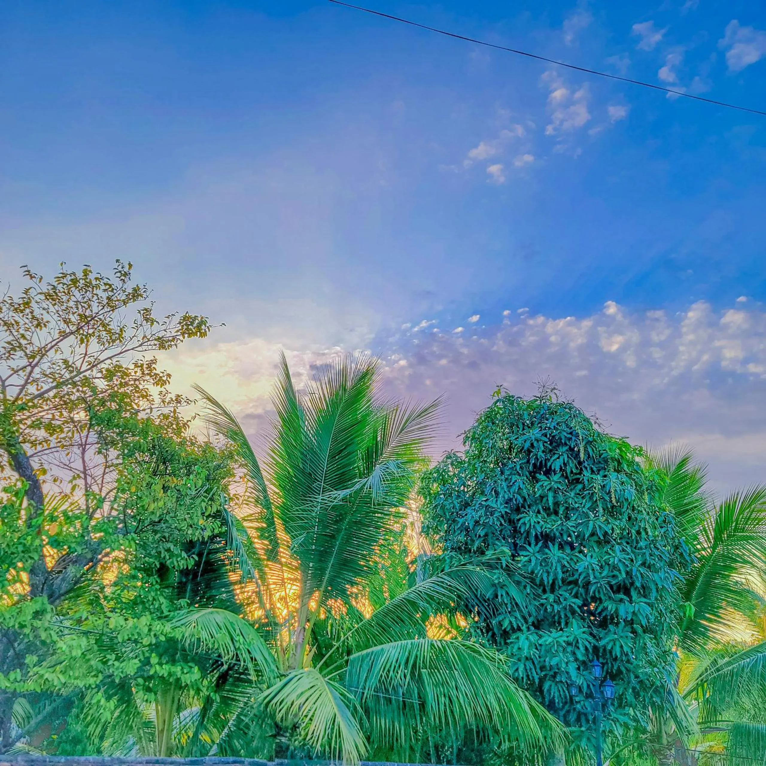 Garden view in CASA ECO Mekong Resort