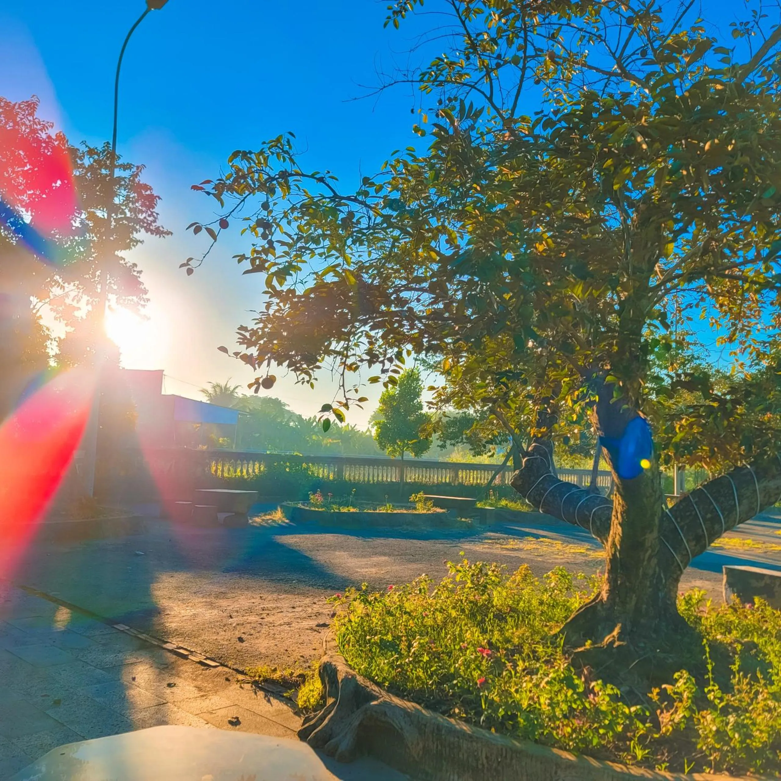 Natural landscape in CASA ECO Mekong Resort