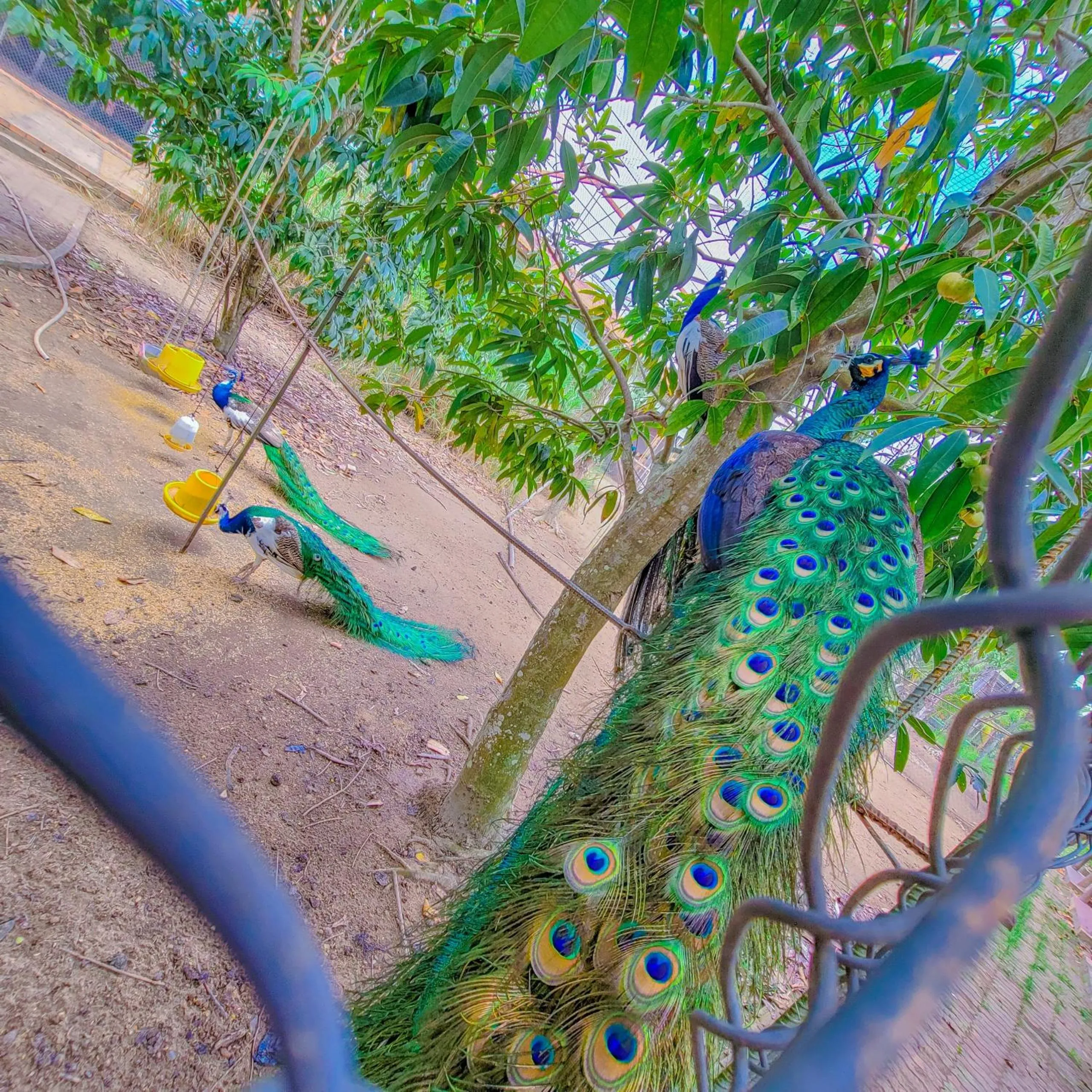 Natural landscape in CASA ECO Mekong Resort